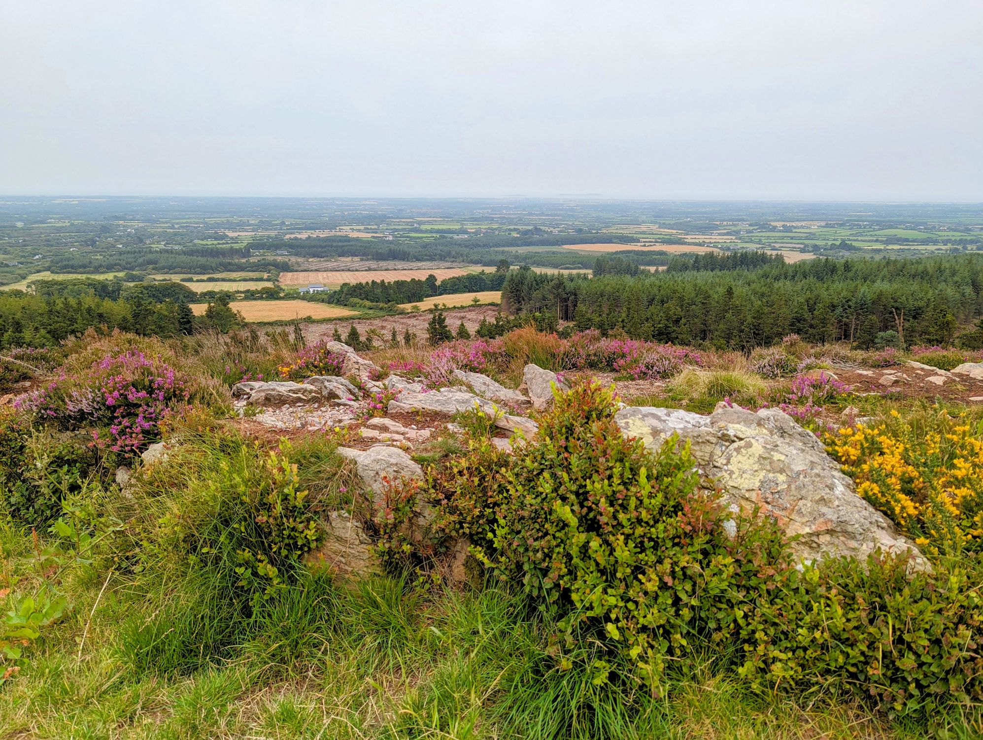 iStock-1592637729.jpg