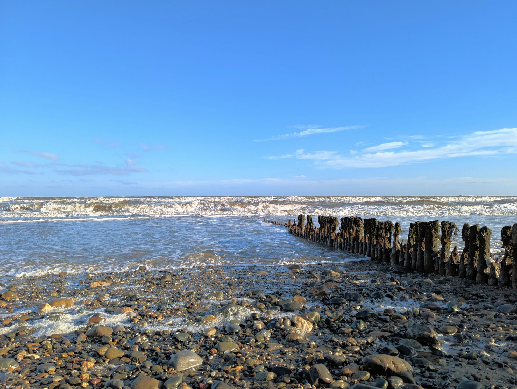 iStock-2254199380.jpg