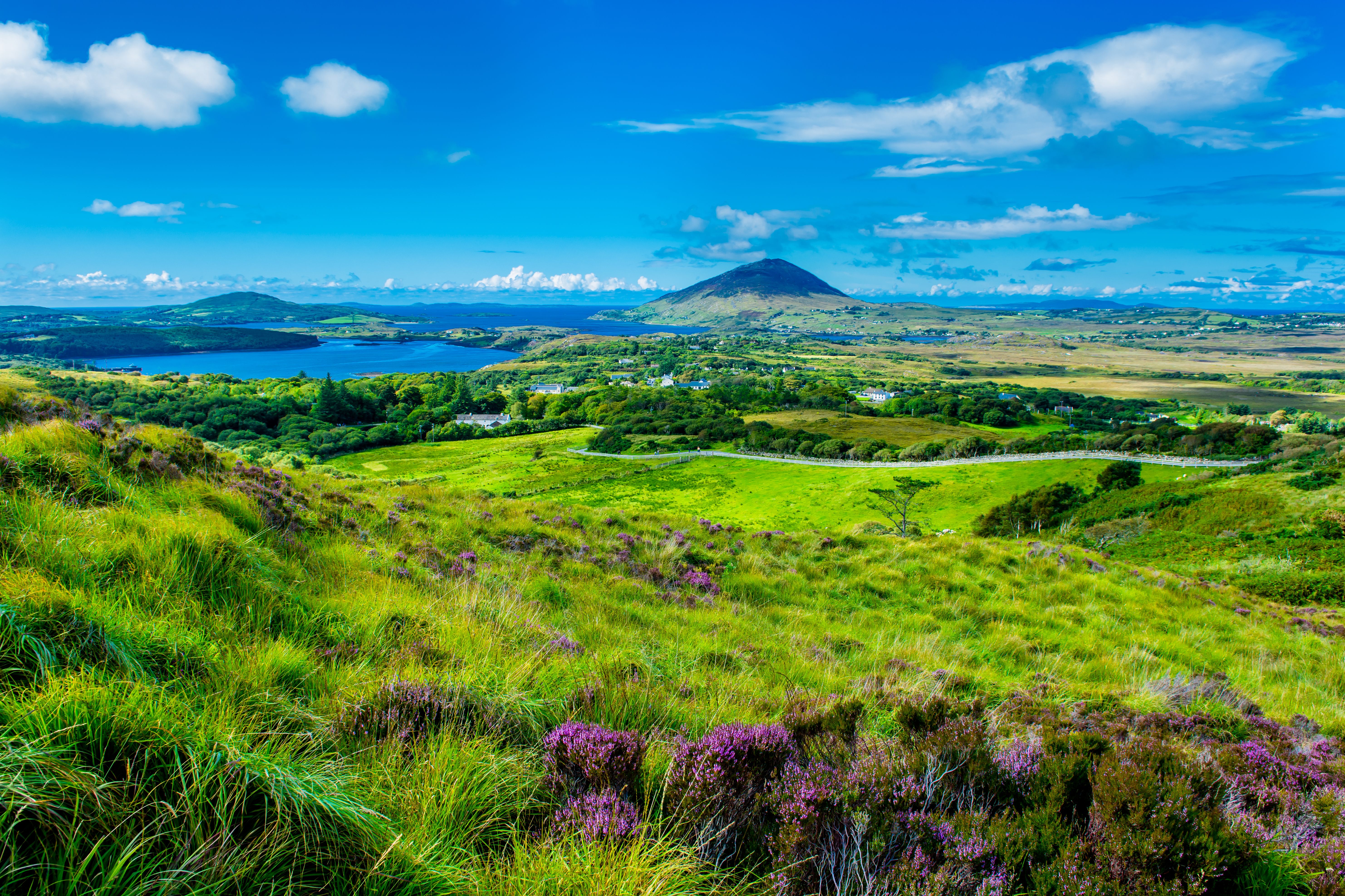 iStock-637006054.jpg