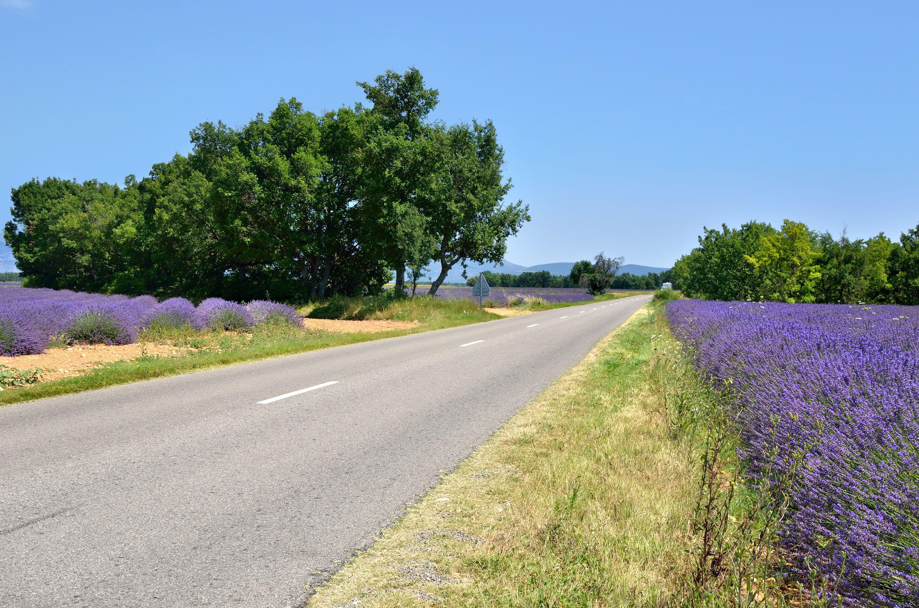 iStock-657356388.jpg