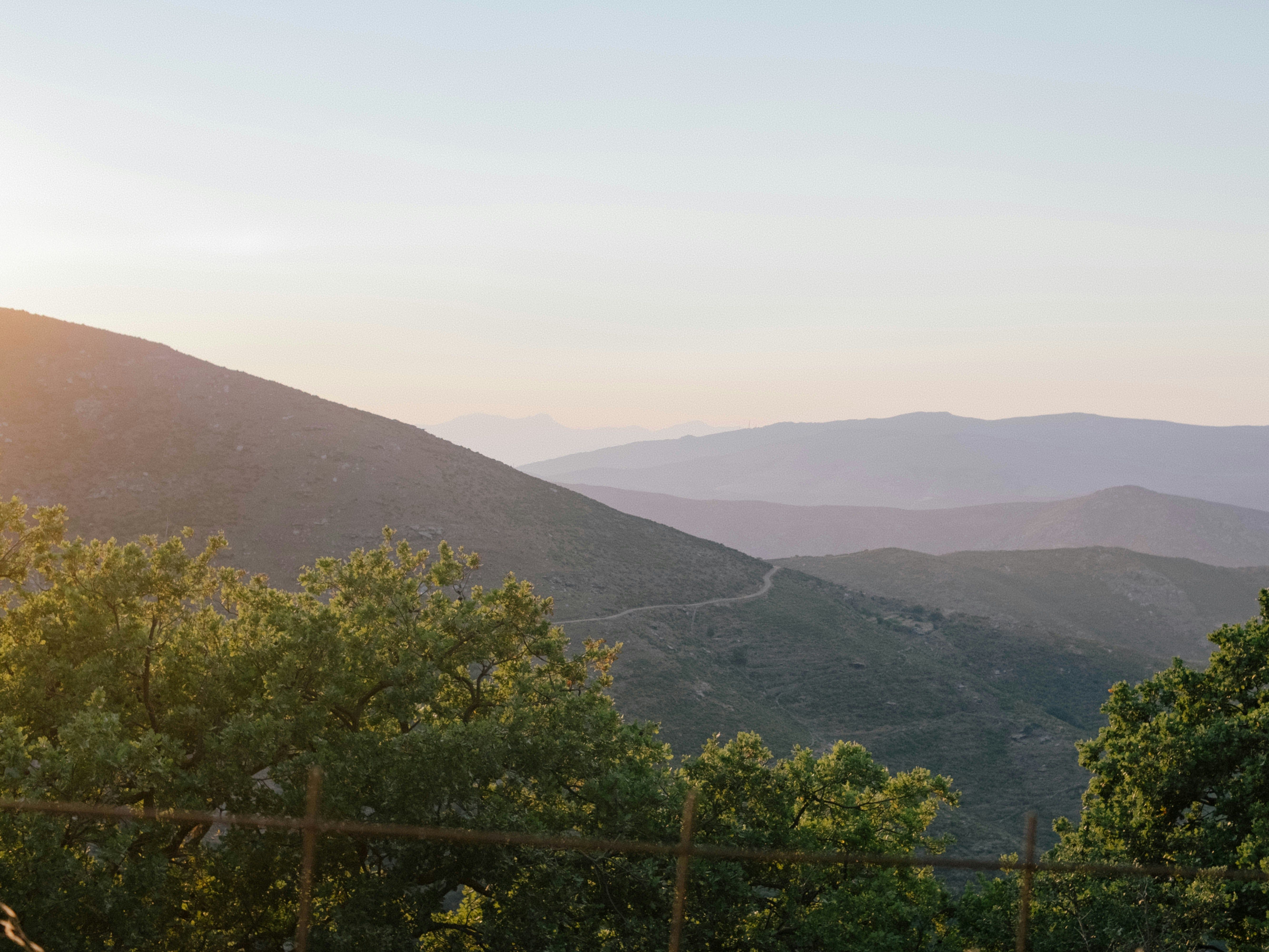 trees and mountains in Andros