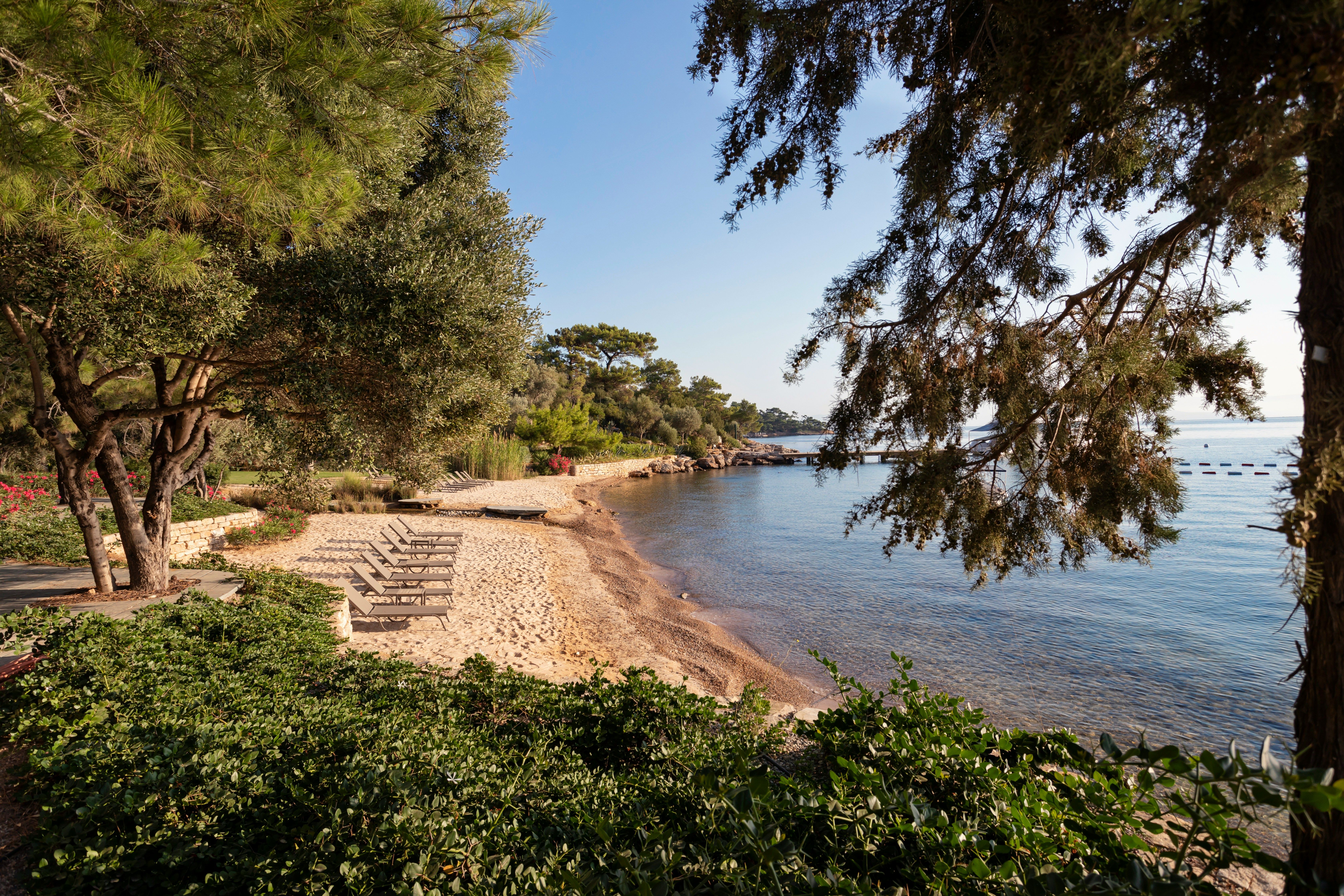 sandy bay backed by green forests