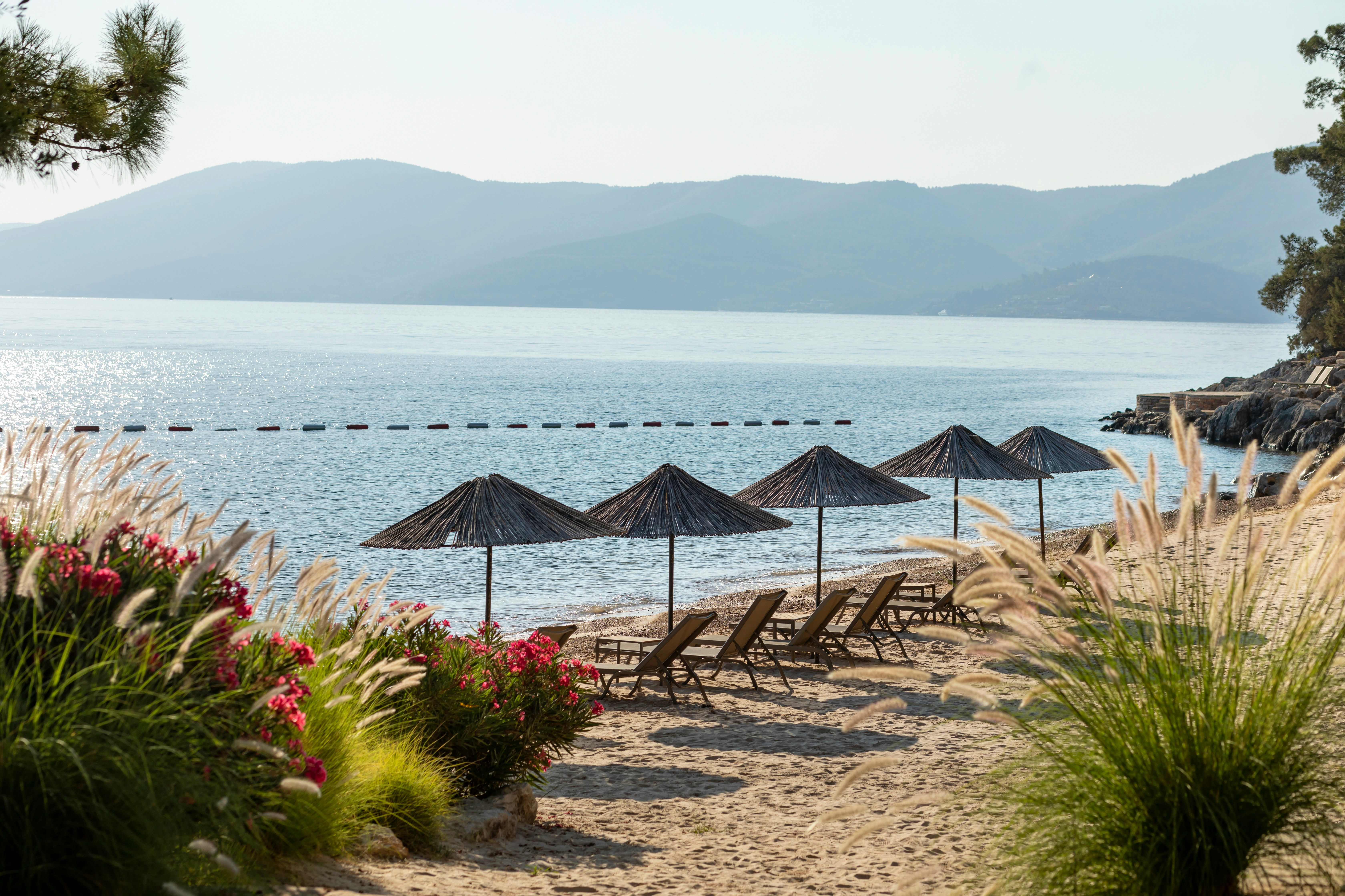umbrellas on a sandy beach in Bodrum