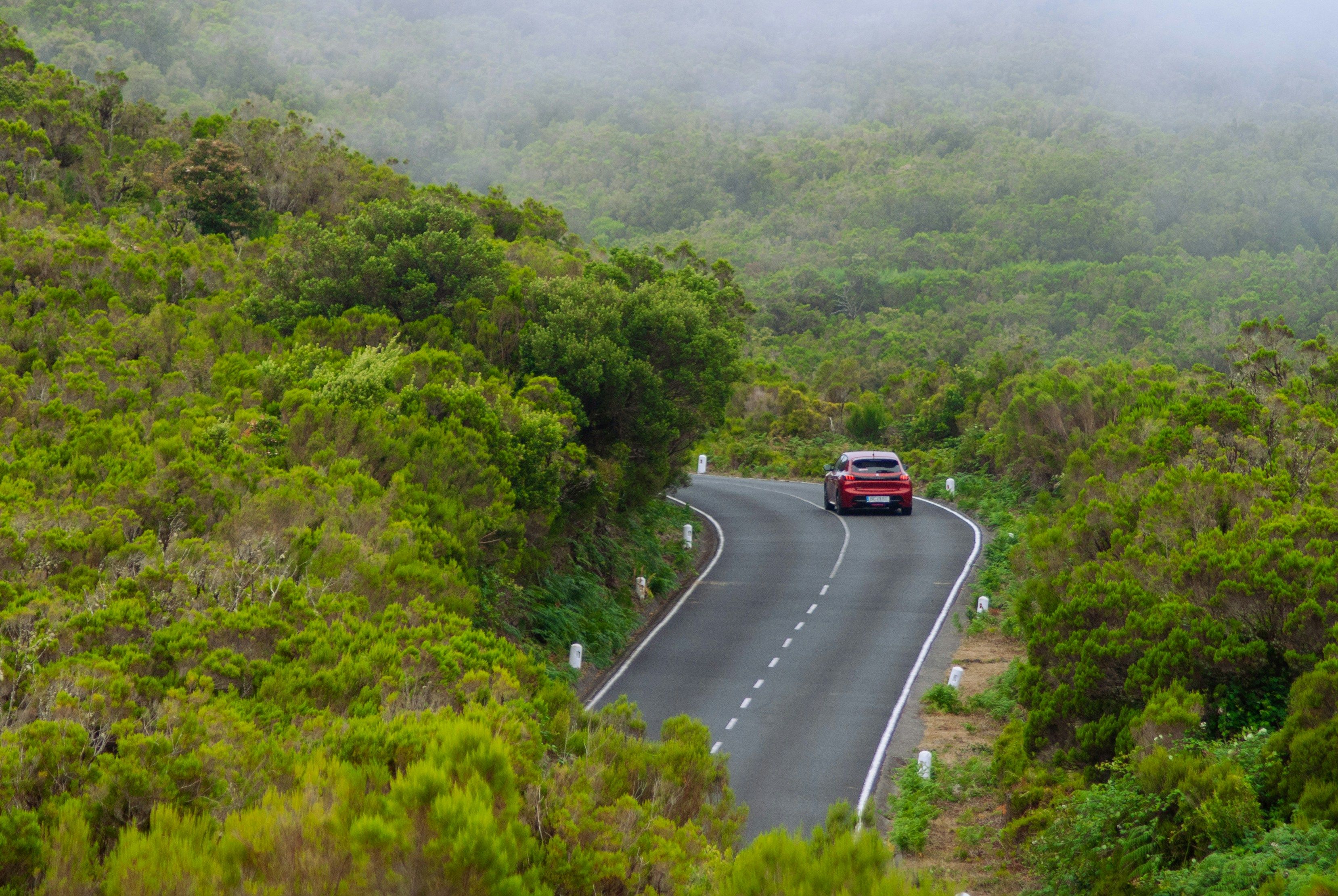car driving through the forest in Madeira