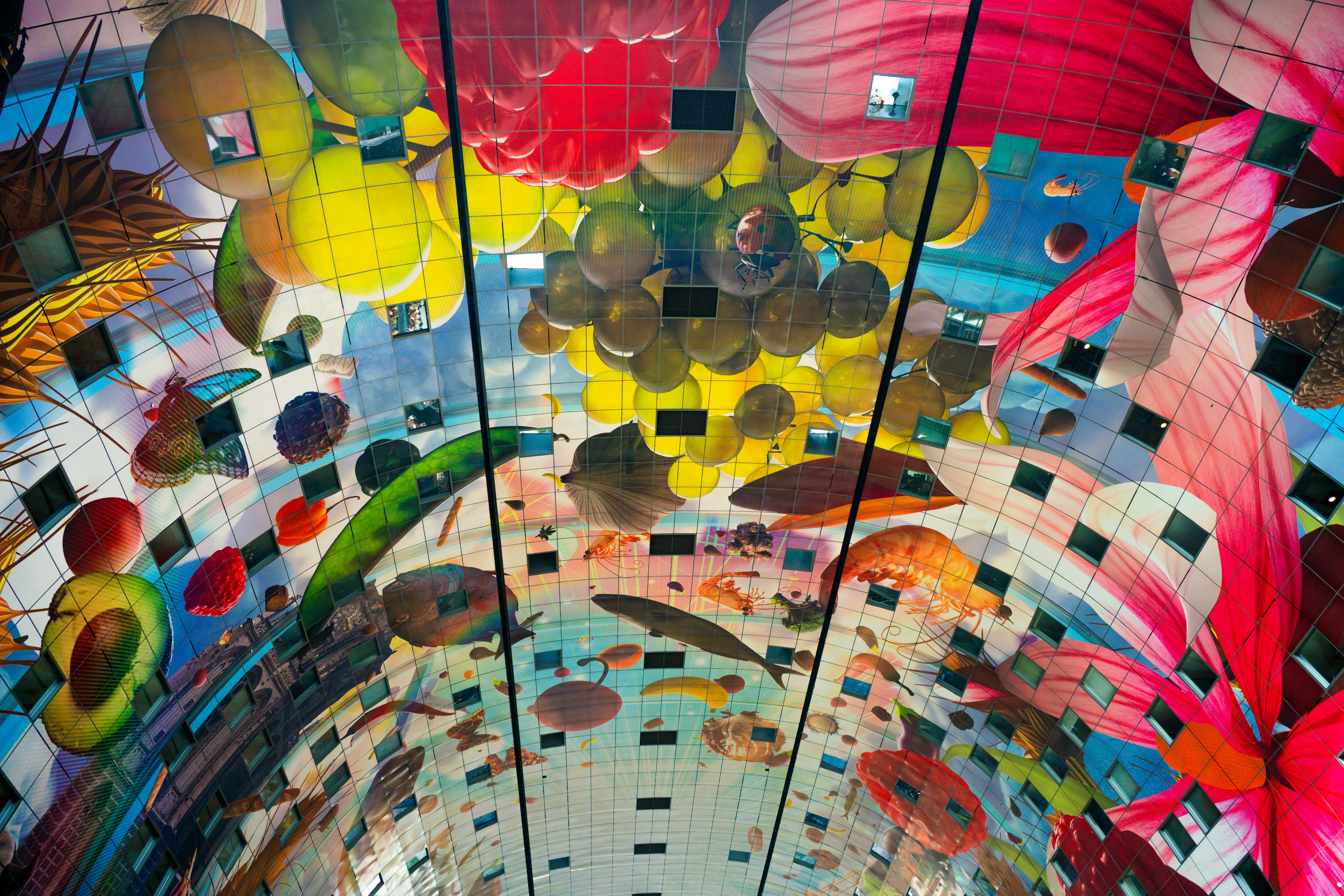 the roof of the Markthal in Rotterdam