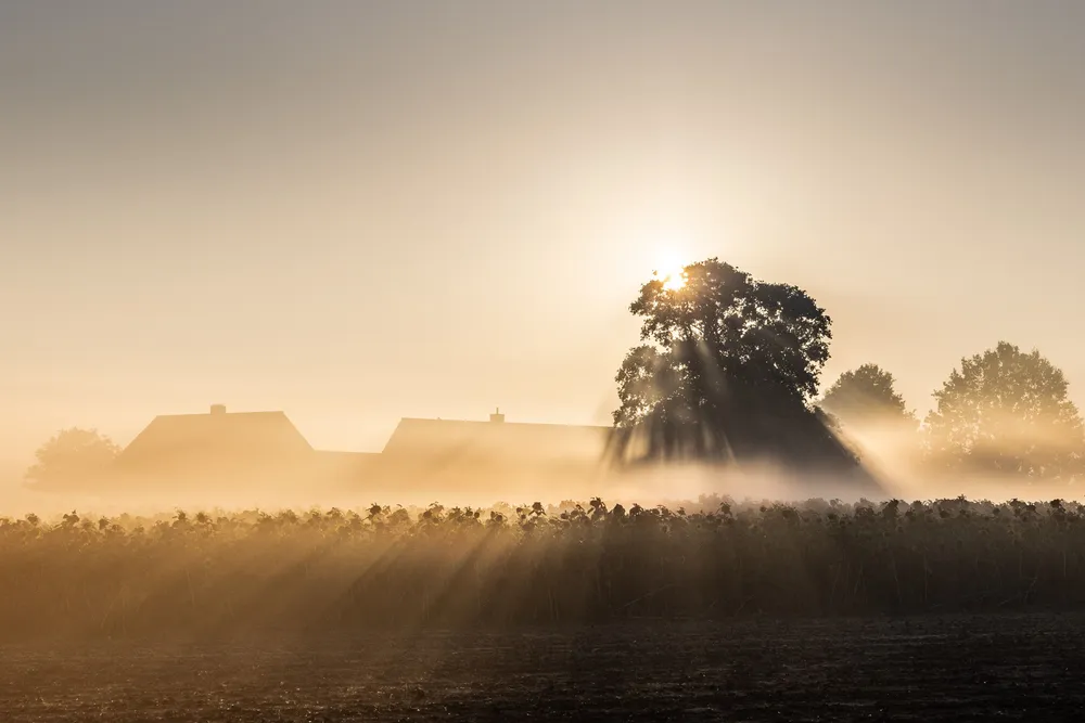 countryside in Flanders Fields