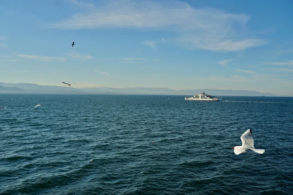 Eine Fähre fährt in der Ferne über das offene Meer, einige Möwen fliegen durch das Bild.