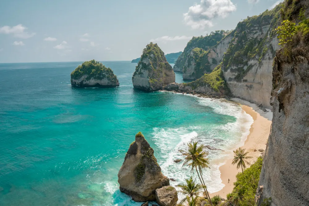 falaises avec palmiers et plage donnant sur l'ocean