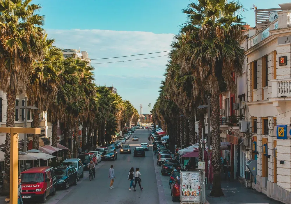palm-lined street in Durres