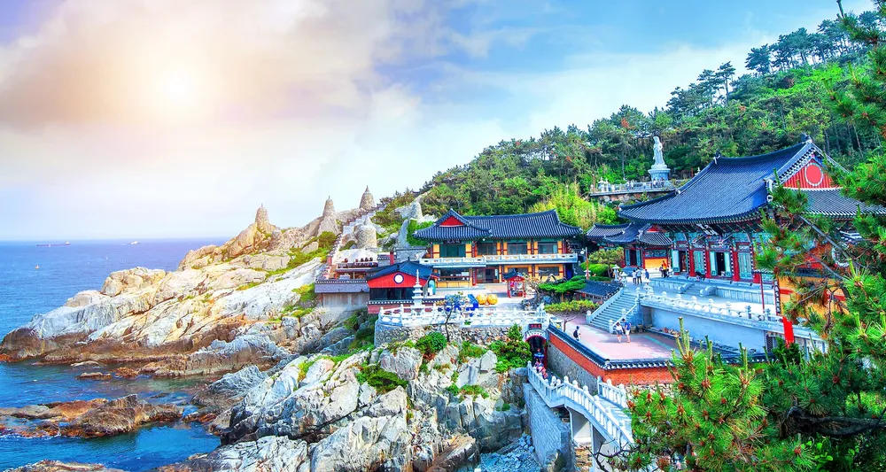 Japan - South Korea: up to 50% OFF with Camellia Line