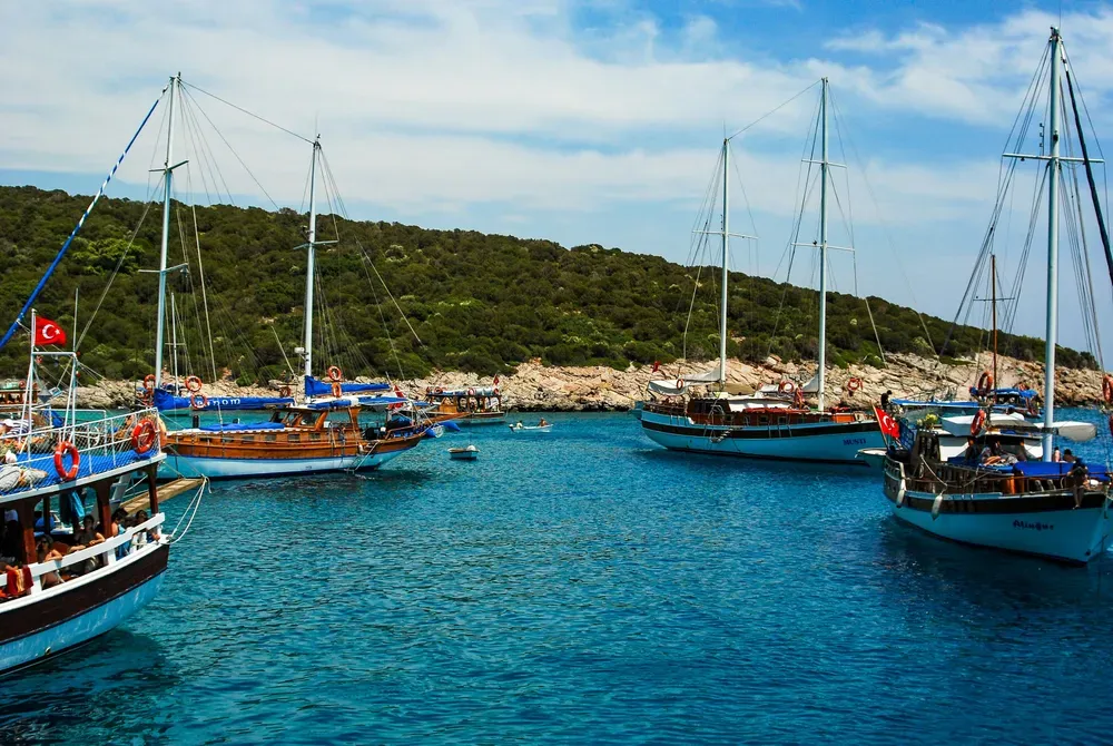 Das Foto zeigt vier Boote, zwei links und zwei rechts im Bild, auf blauem Wasser. Im Hintergrund sieht man einen von Bäumen übersäten Hügel. Der Himmel ist blau und leicht bewölkt.