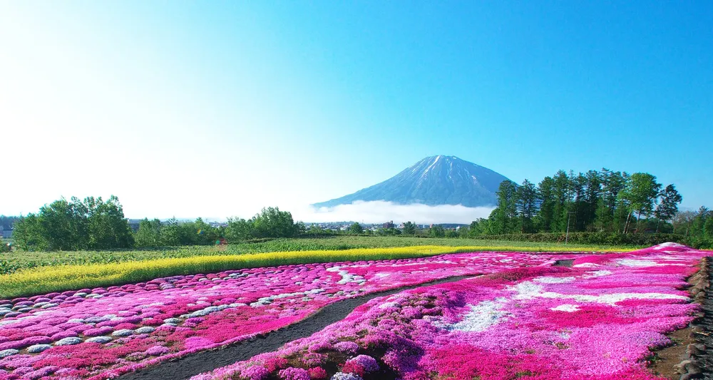 Japon - Corée du Sud: 20% de réduction avec PanStar Cruise