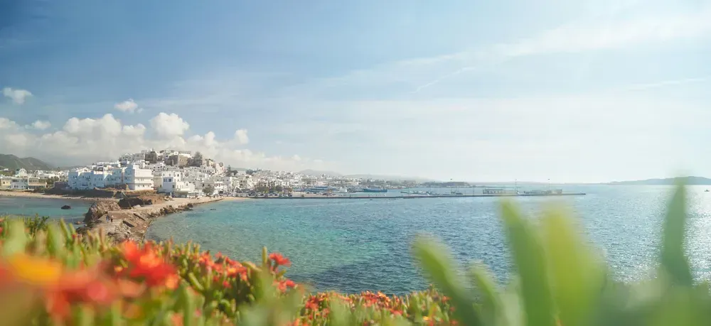 flowers with Naxos town in the distance
