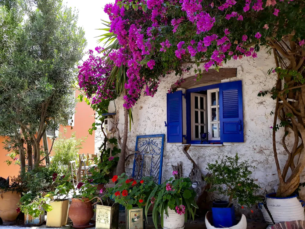 maison de pierre blanche avec fleurs et volets bleus