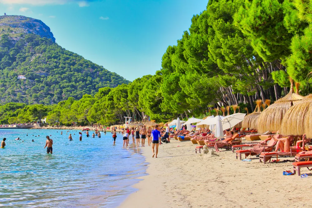sandy beach in Mallorca