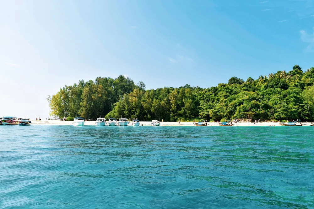 lush greenery lining a white sandy beach in Koh Kood