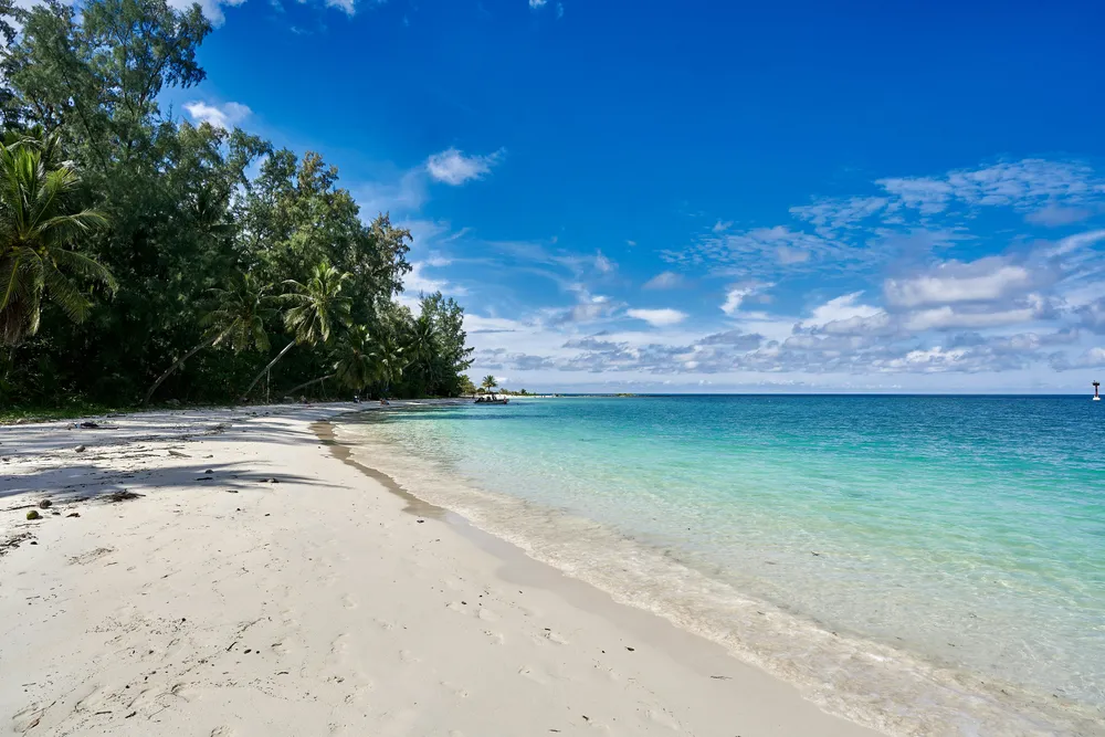 palm trees on a white sandy beach in Koh Phangan