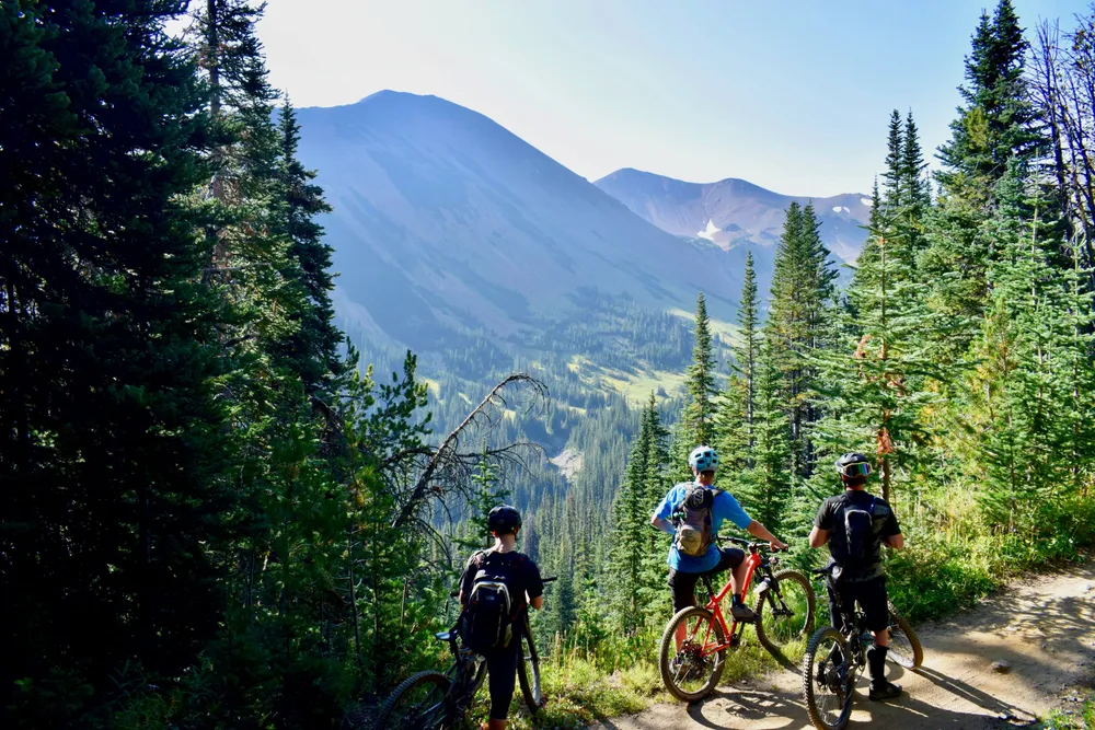 cyclistes en montagne avec arbres