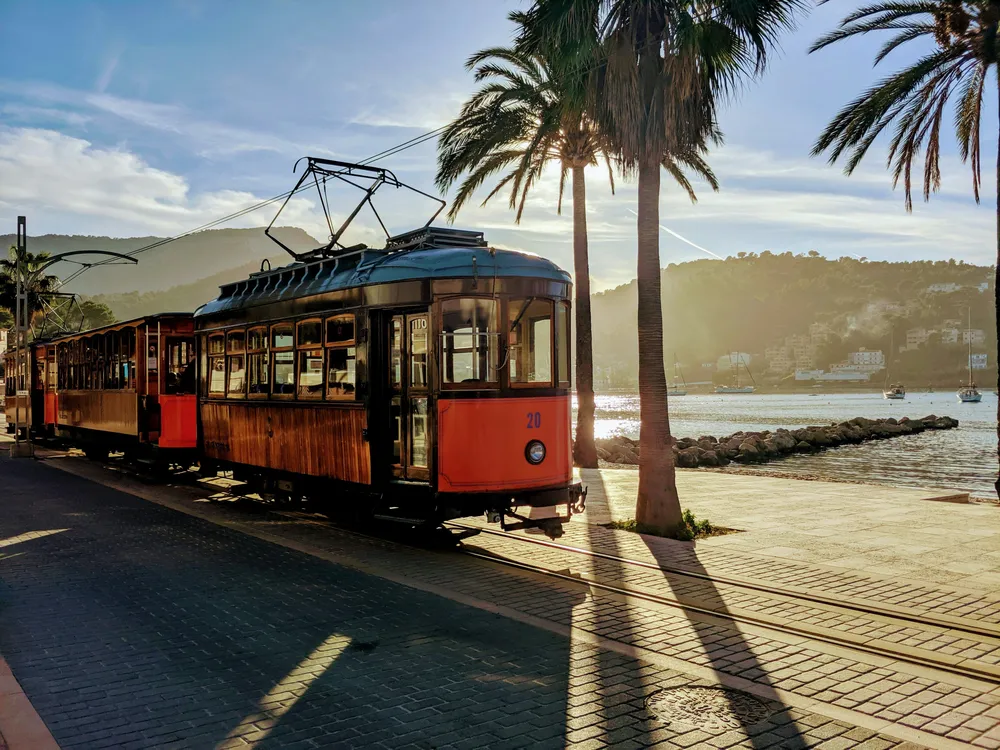 tram next to the palm trees in Port de Sóller