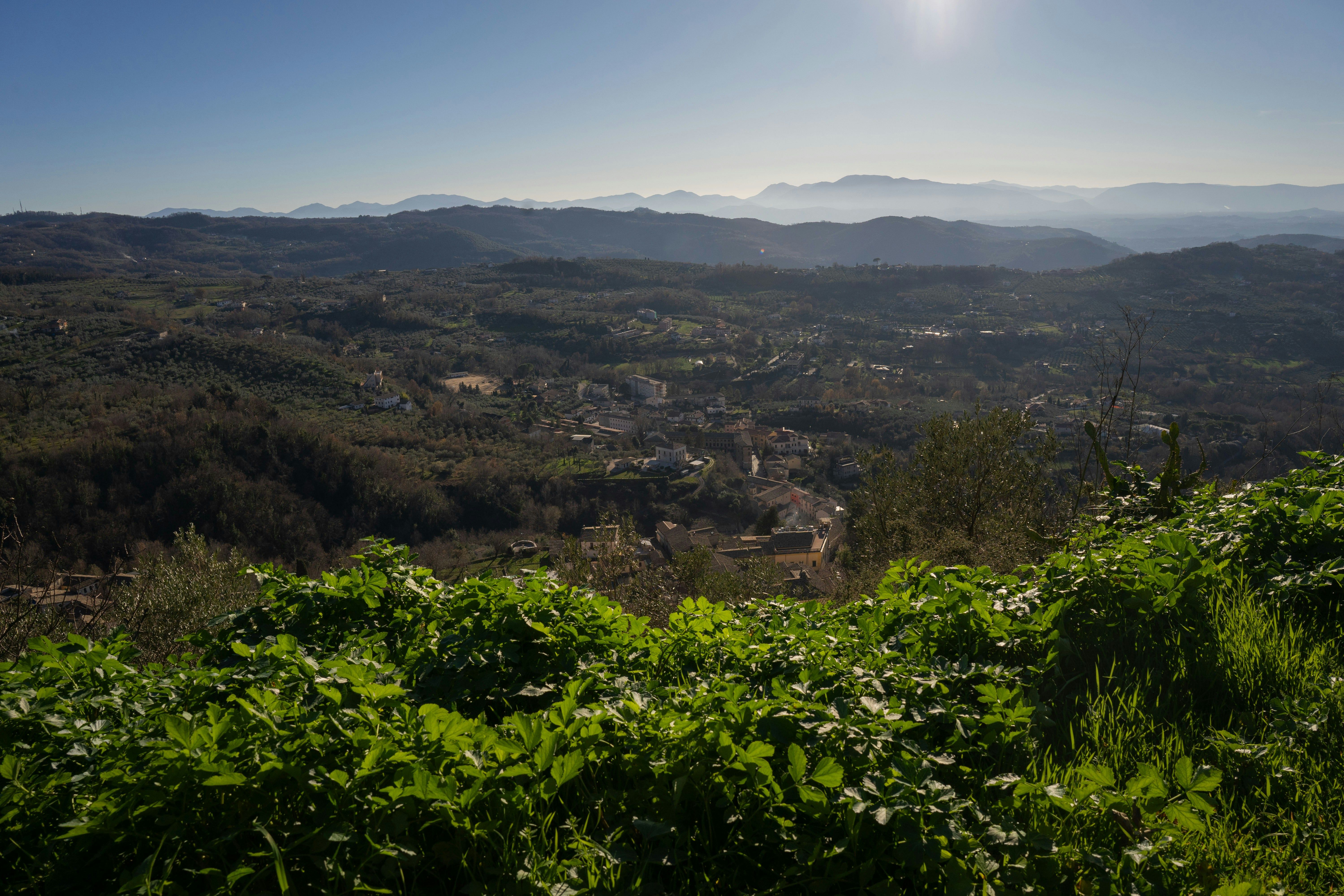 views of lush greenery