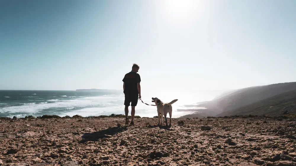 man and dog on cliff overlooking the ocean