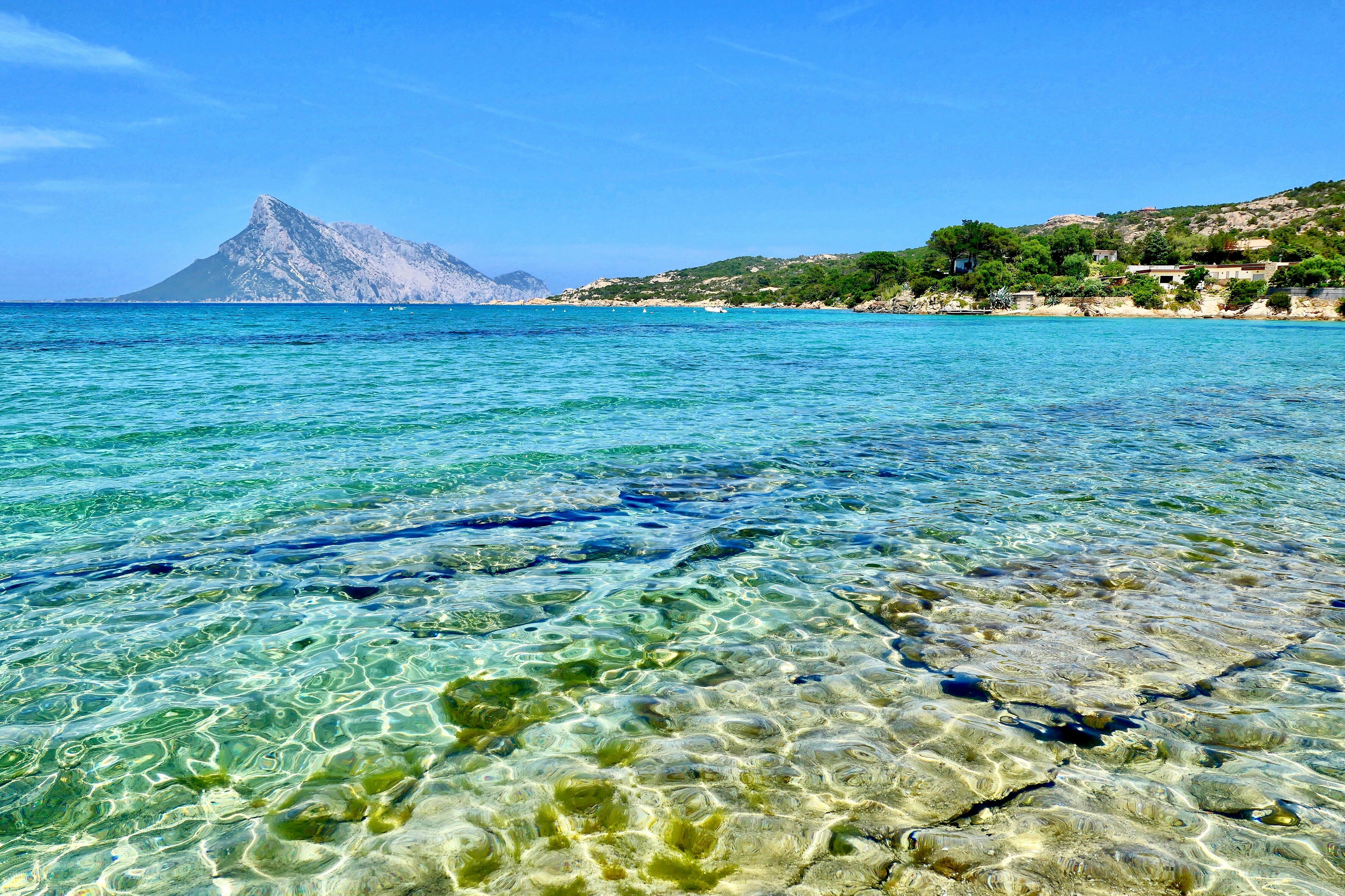 clear seas on Tavolara island