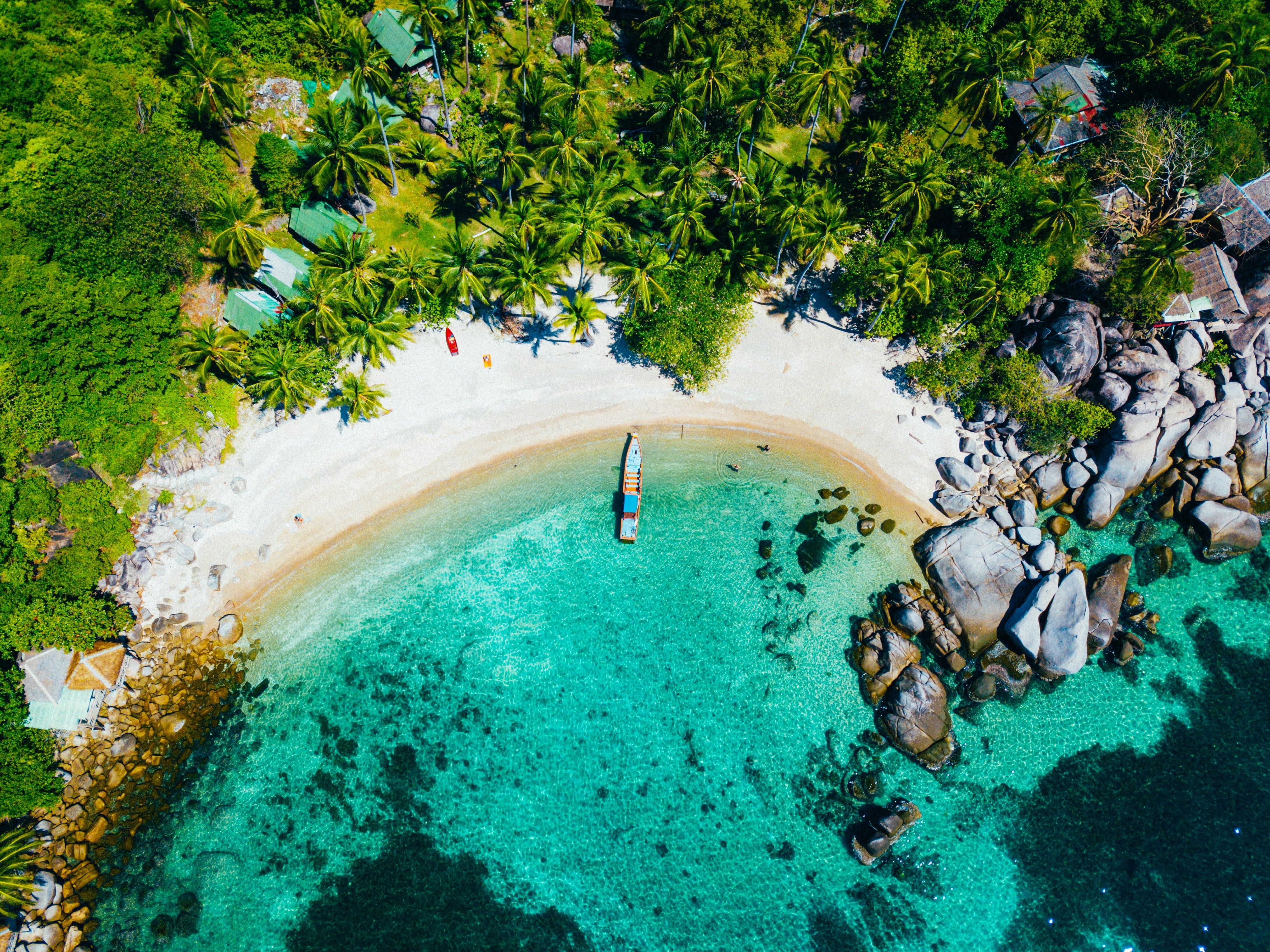 aerial view of a palm-lined sandy bay