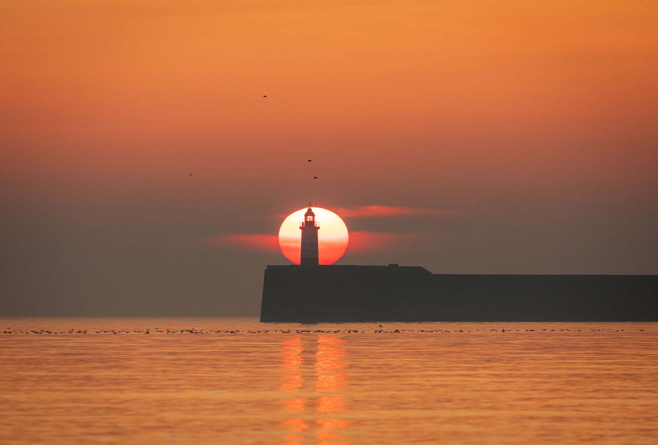 newhaven port at sunset