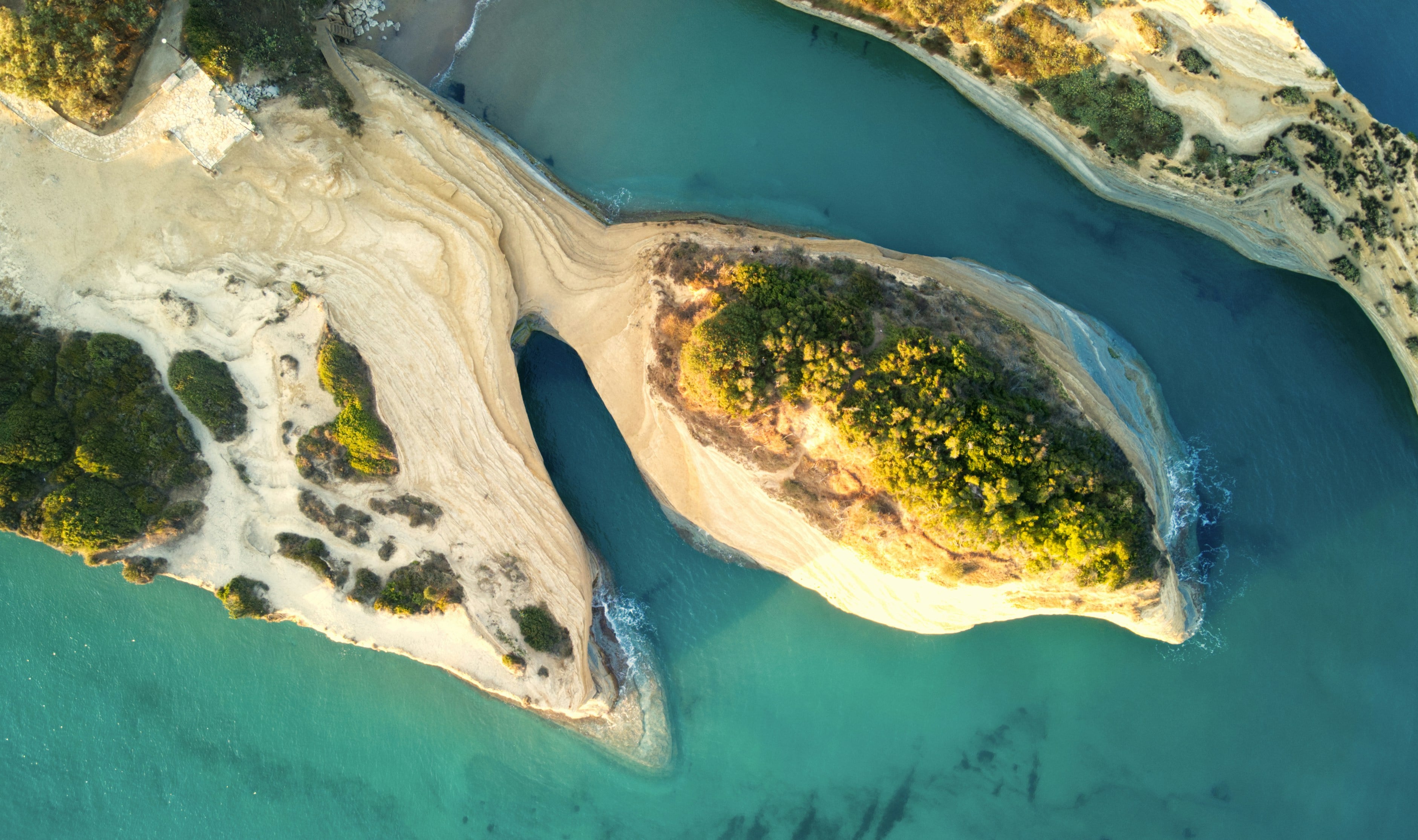 plage avec vegetation et eau turquoise