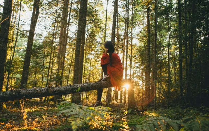 Persona sentada sobre un tronco en un bosque, con luz del sol filtrándose entre los árboles.