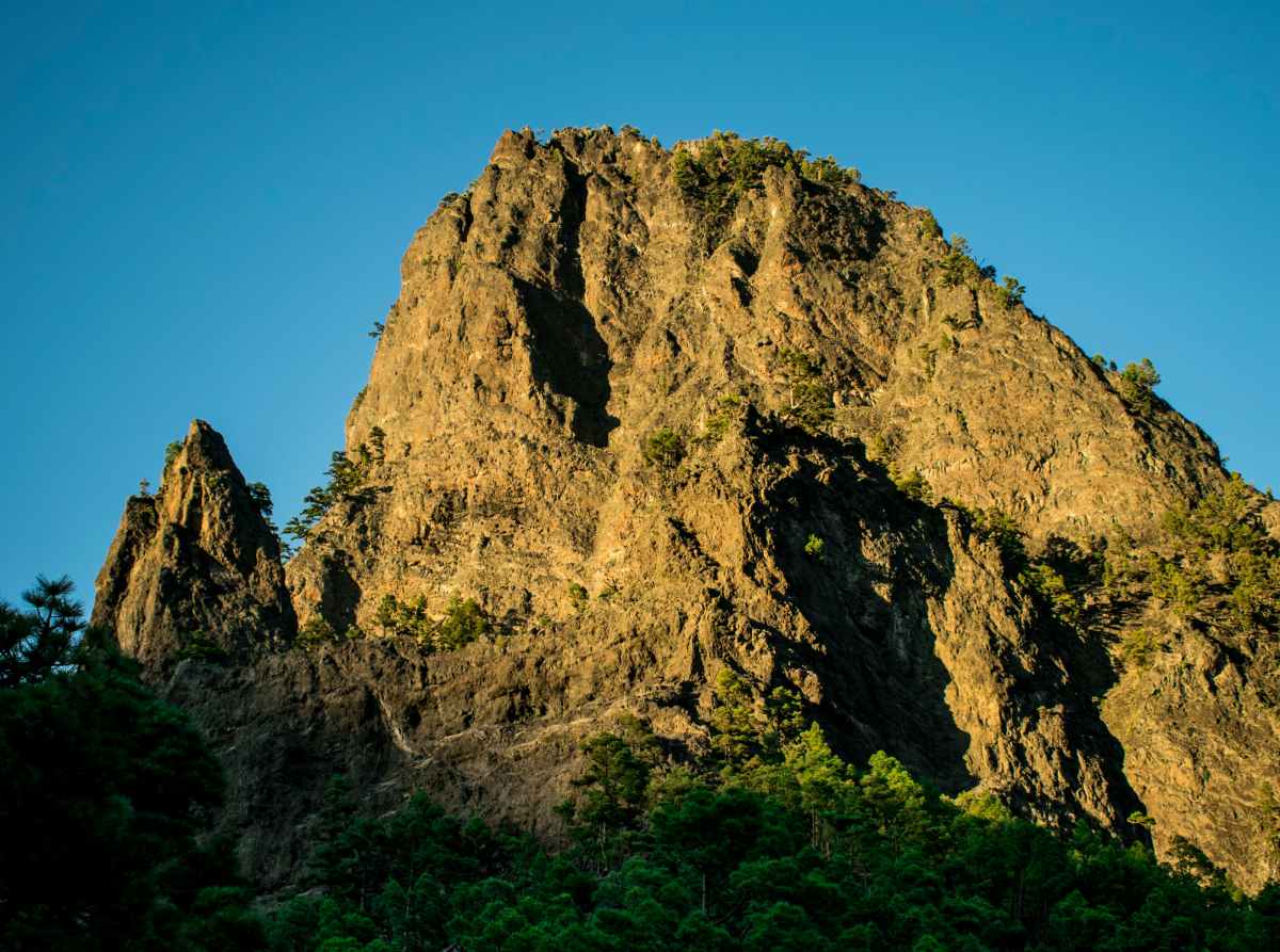  Impresionante vista del Pico Bejenado en El Paso, La Palma, bañado por la luz dorada del atardecer y rodeado de pinos canarios.