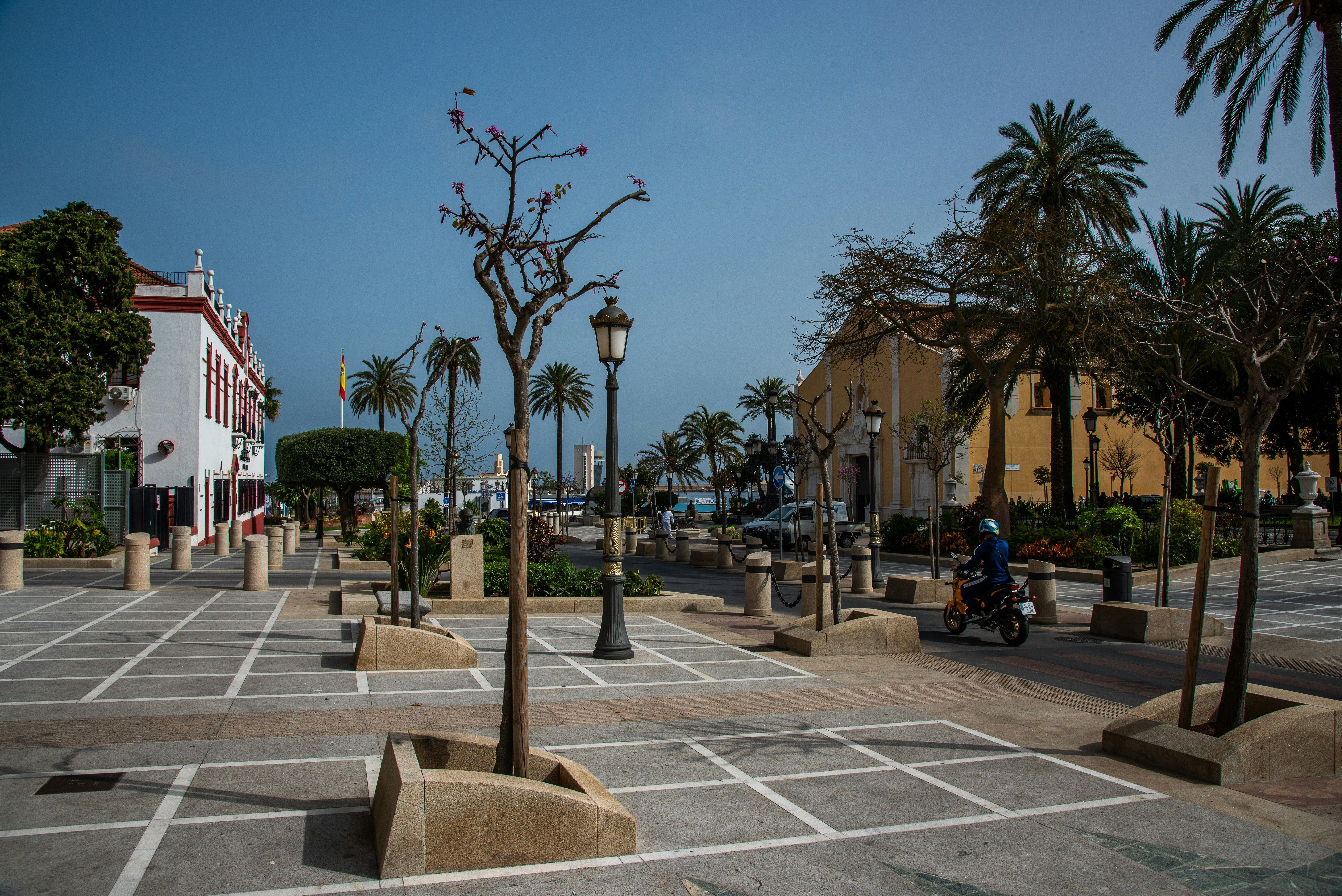 arbres sur place de ville avec lampadaire et maisons