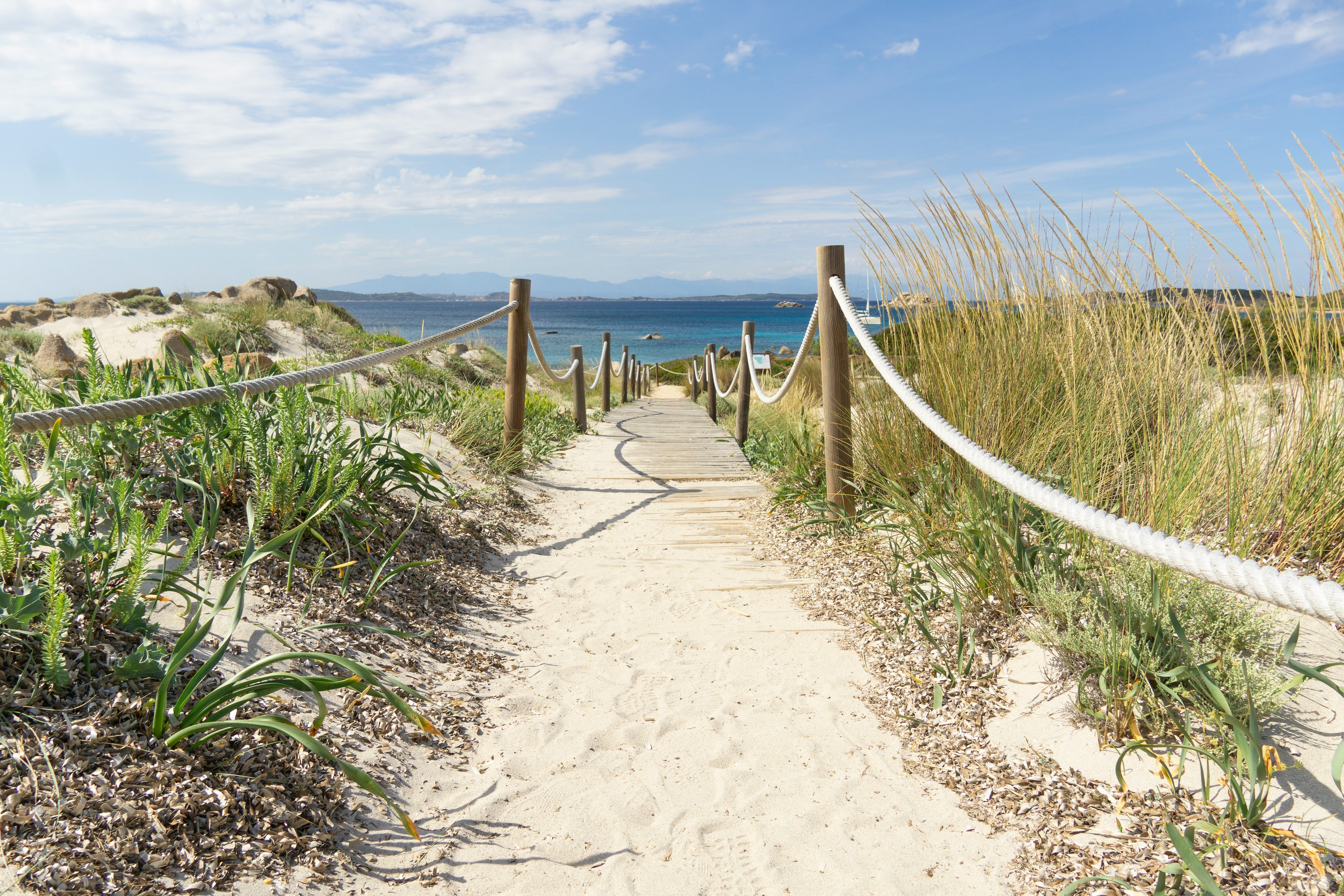 chemin a travers les dunes menant a la plage
