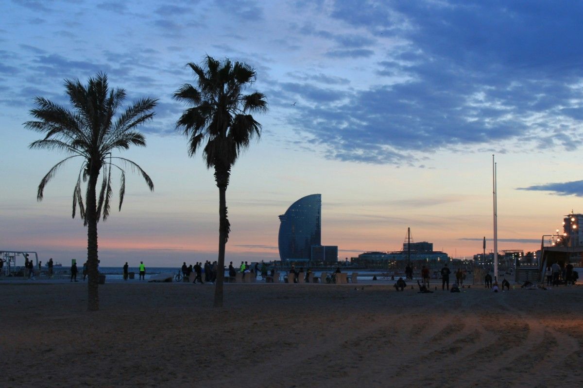 Palmeras y personas caminando por la playa de la Barceloneta al anochecer