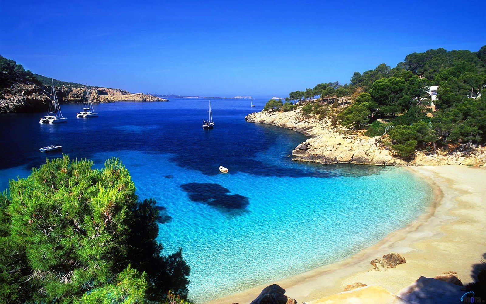 playa-ibiza.jpg