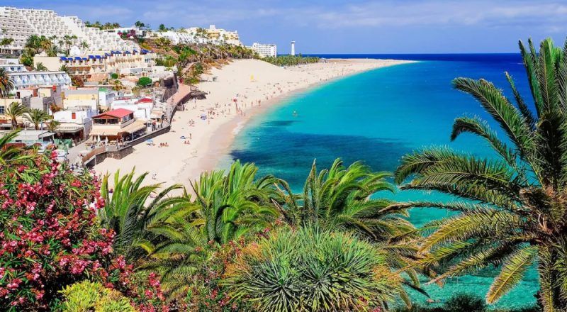 Playa de Jandía en Fuerteventura con arena blanca, mar turquesa y palmeras.