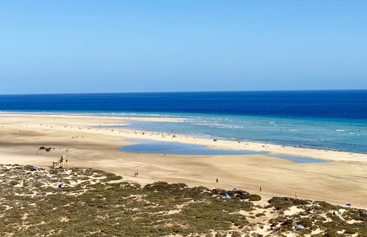 Playa de Sotavento en Fuerteventura, con lagunas de agua turquesa y arena dorada bajo un cielo despejado.