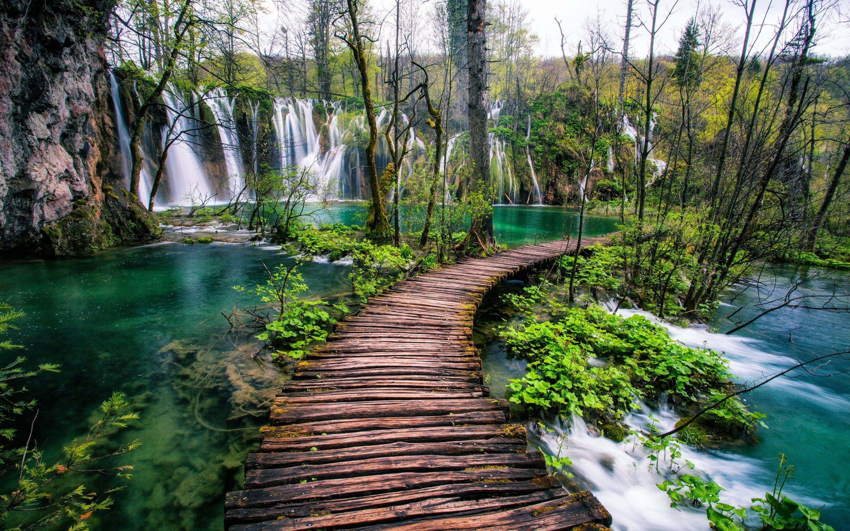 footpath through Plitvice Lakes National Park