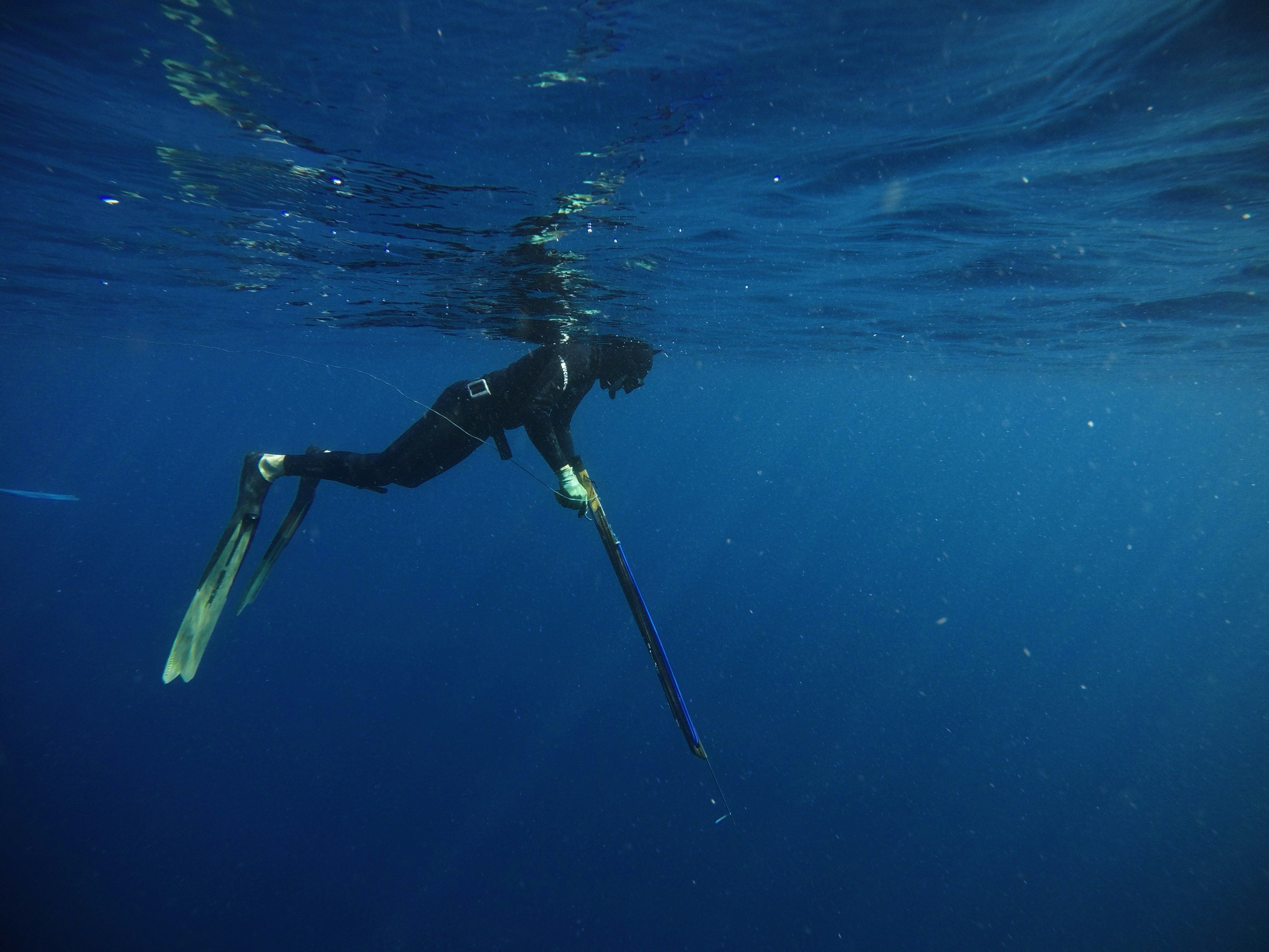 personne faisant de la plongee sous marine