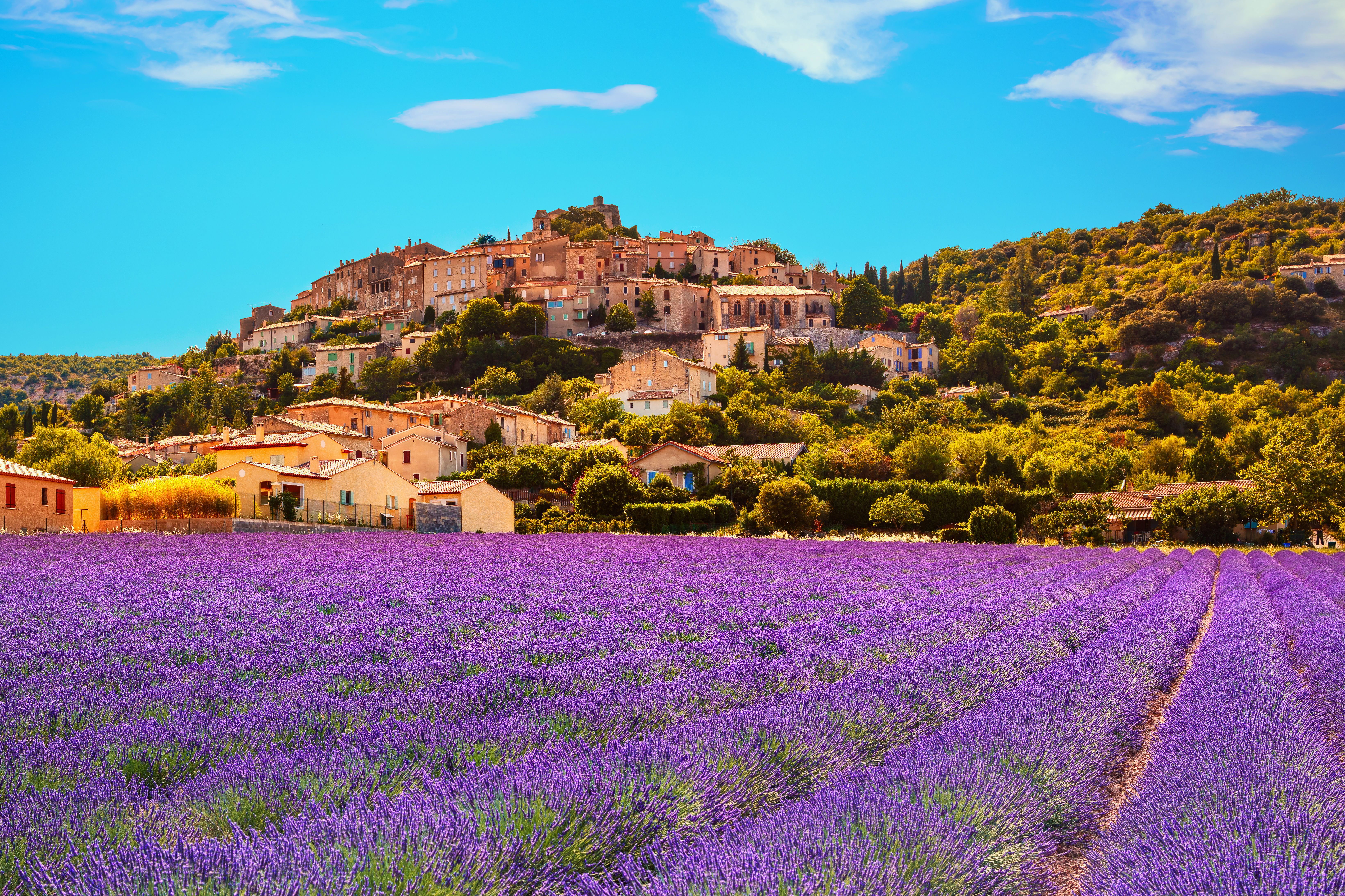 provence 482030300.jpg