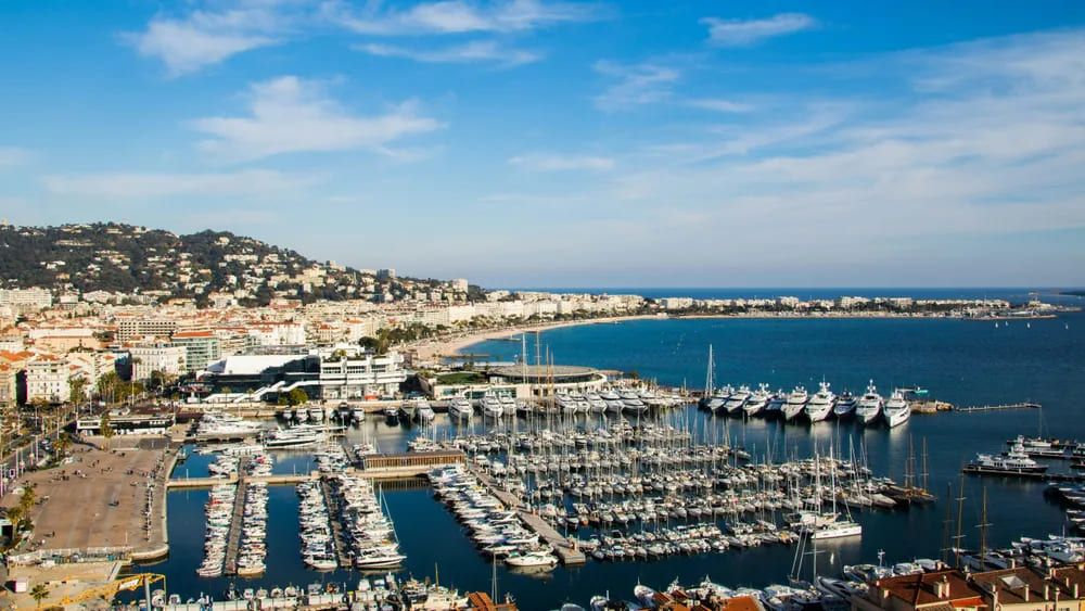 Vista panorámica del Puerto Viejo de Cannes con numerosos yates atracados, edificios costeros y colinas al fondo en un día soleado.