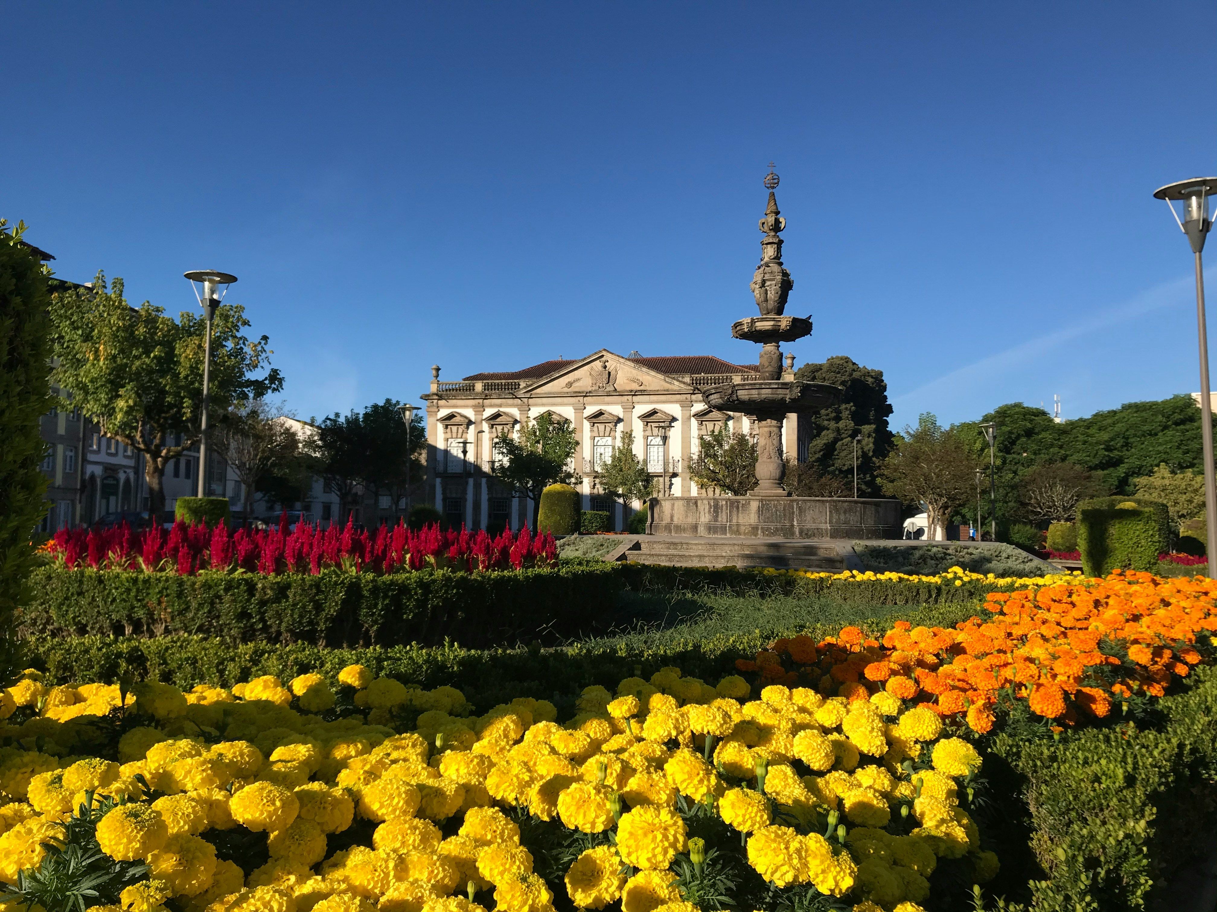 Blooming flowers at Campo das Hortas in Braga