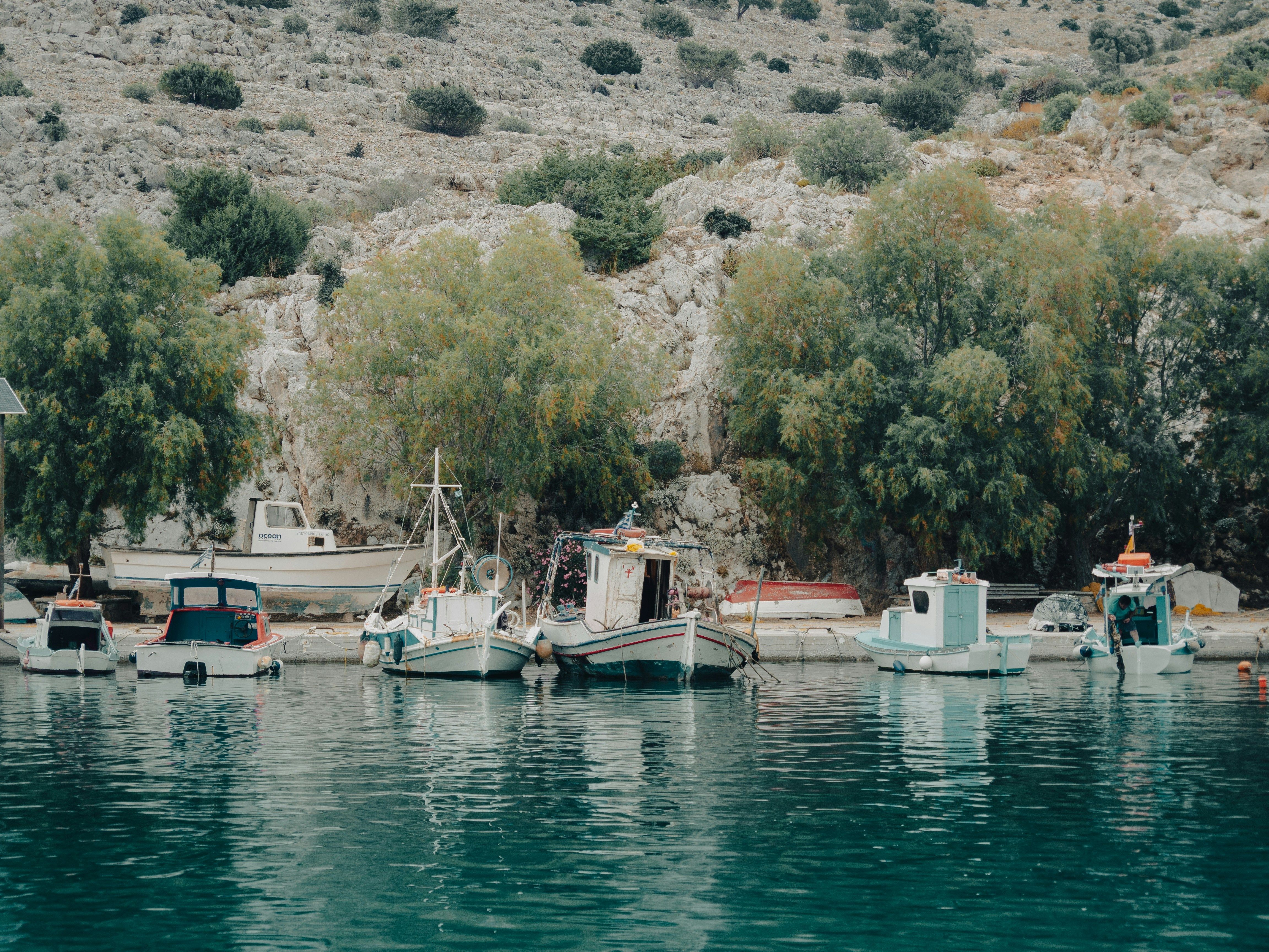 boats lined up in harbour with mountain behind