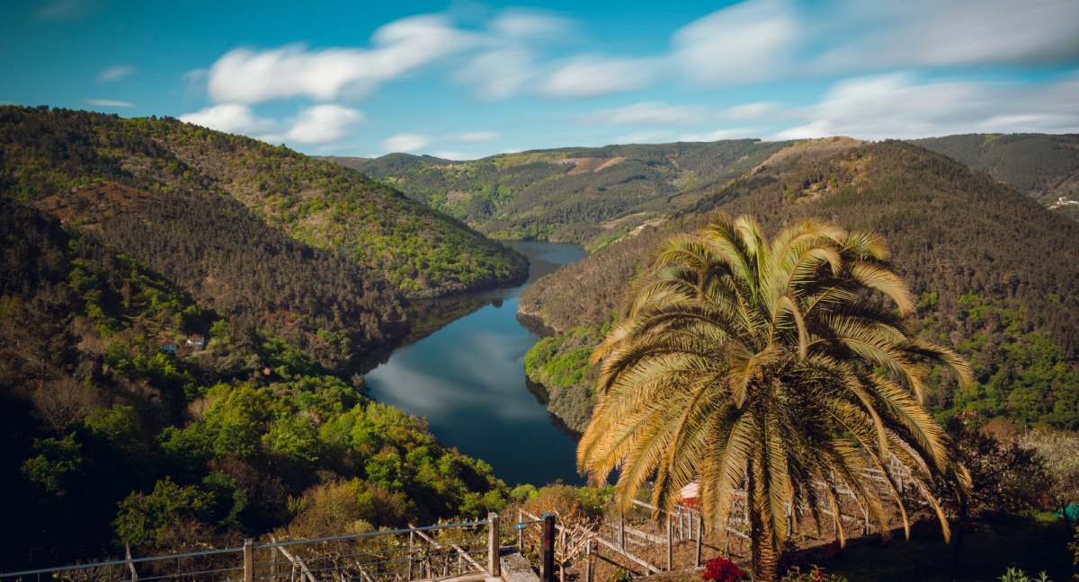 Panorama dei canyon del Sil nella Ribeira Sacra, con colline verdi e il fiume che serpeggia tra i vigneti galiziani.