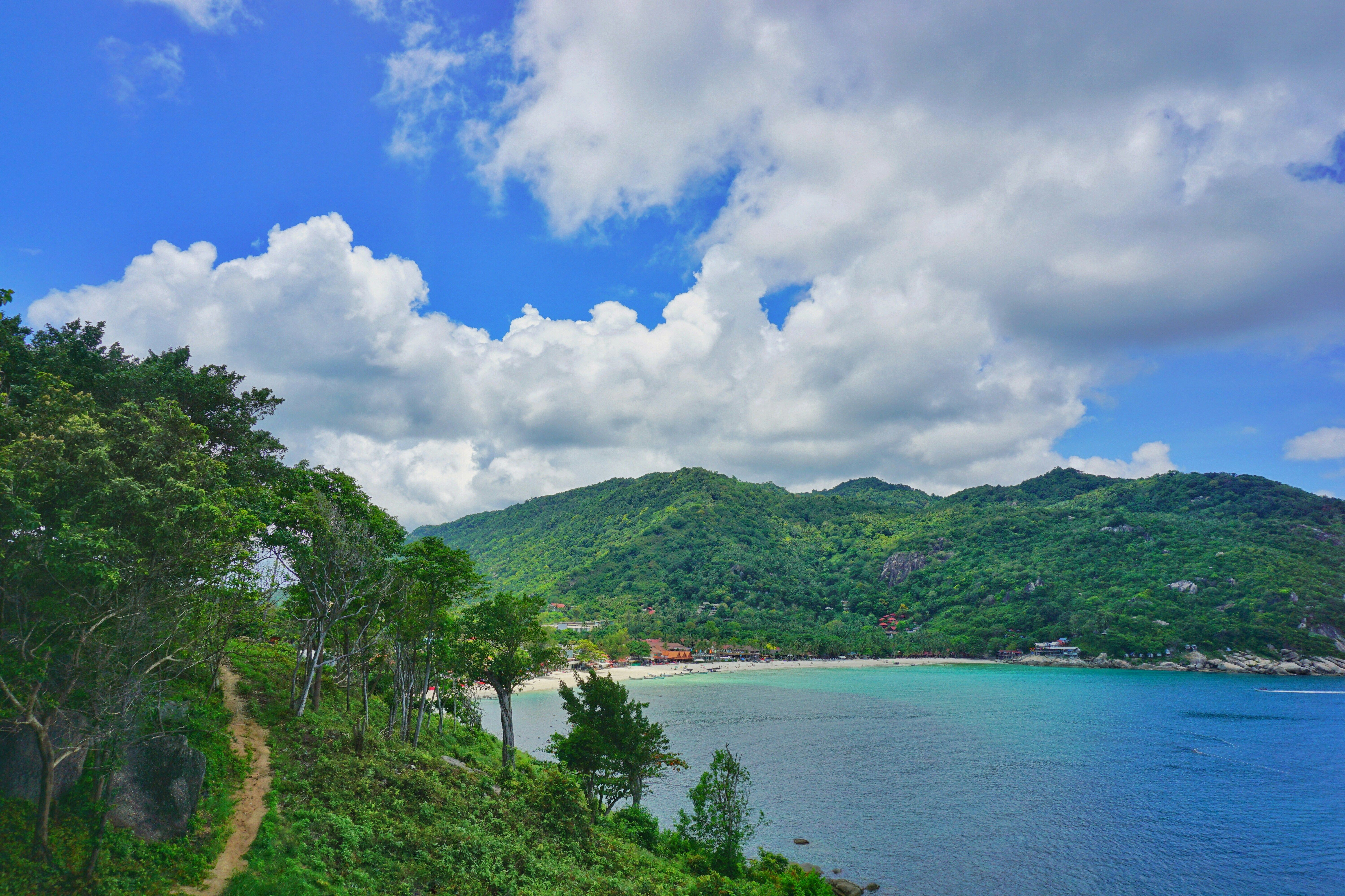 green forested hills next to the sea in Koh Phangan