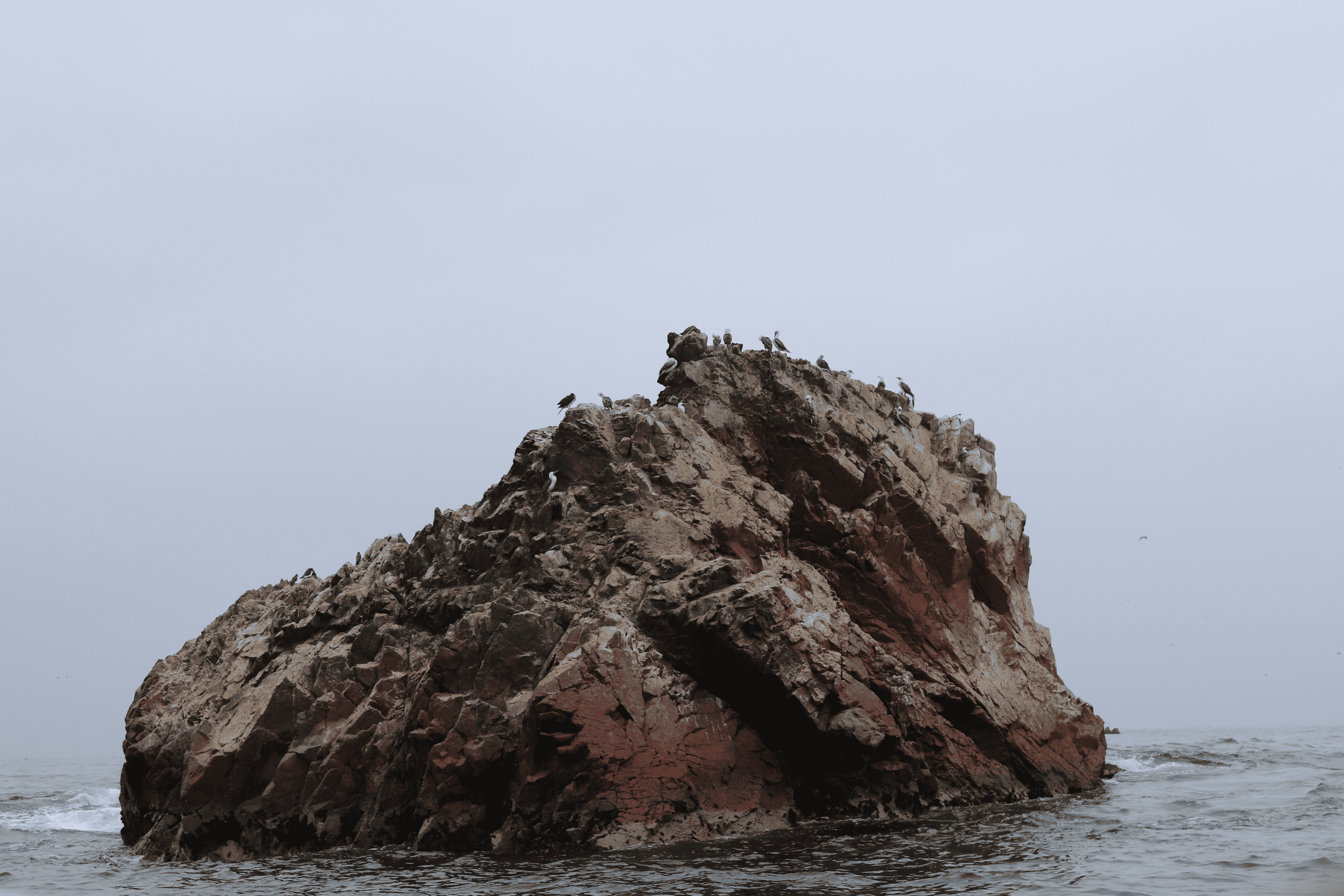 rocher au milieu de la mer avec des mouettes