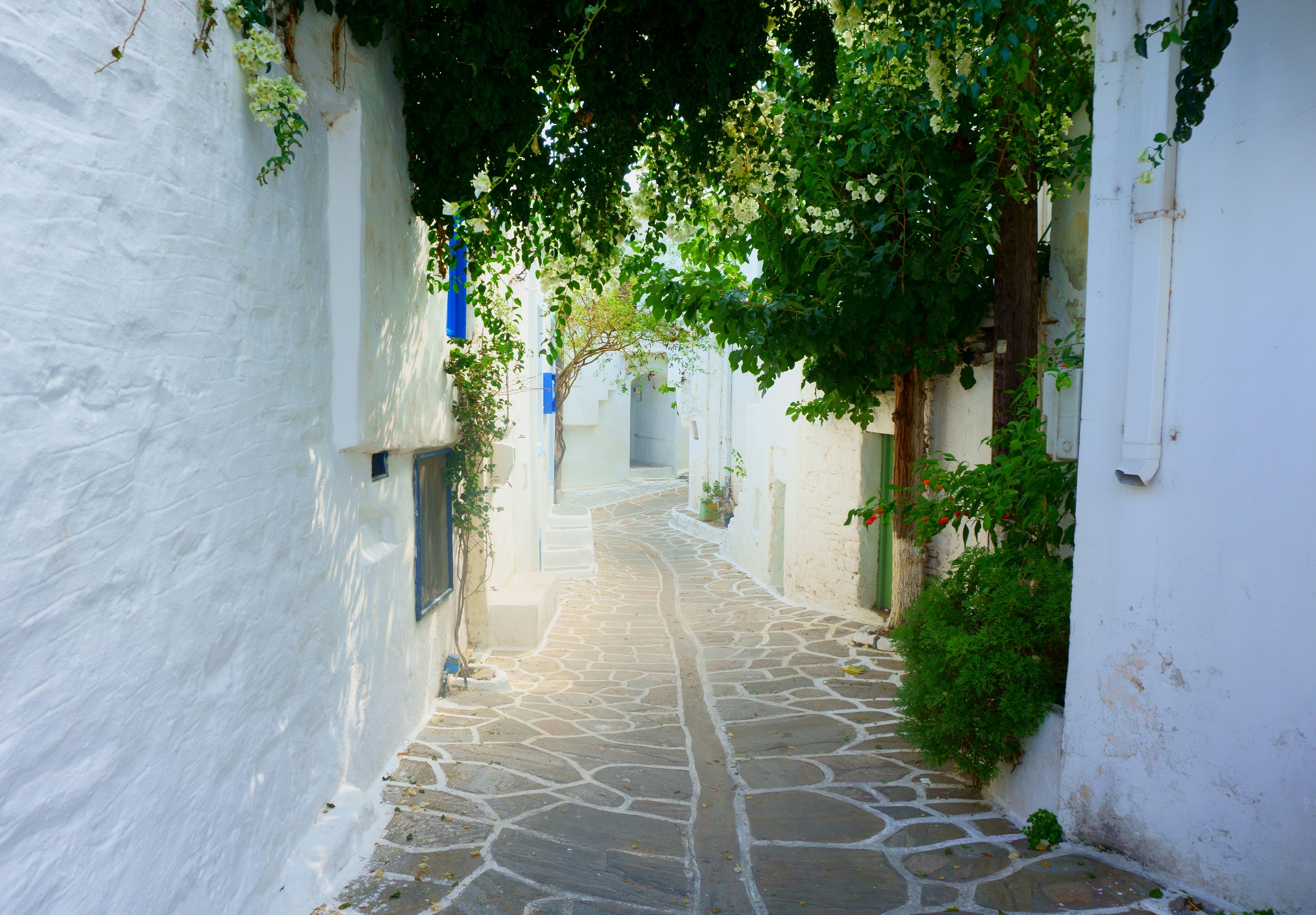batiments blancs ruelle pavee et plantes