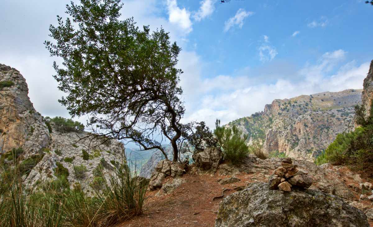 Ruta de senderismo en la Serra de Tramuntana en Mallorca, turismo de naturaleza sostenible