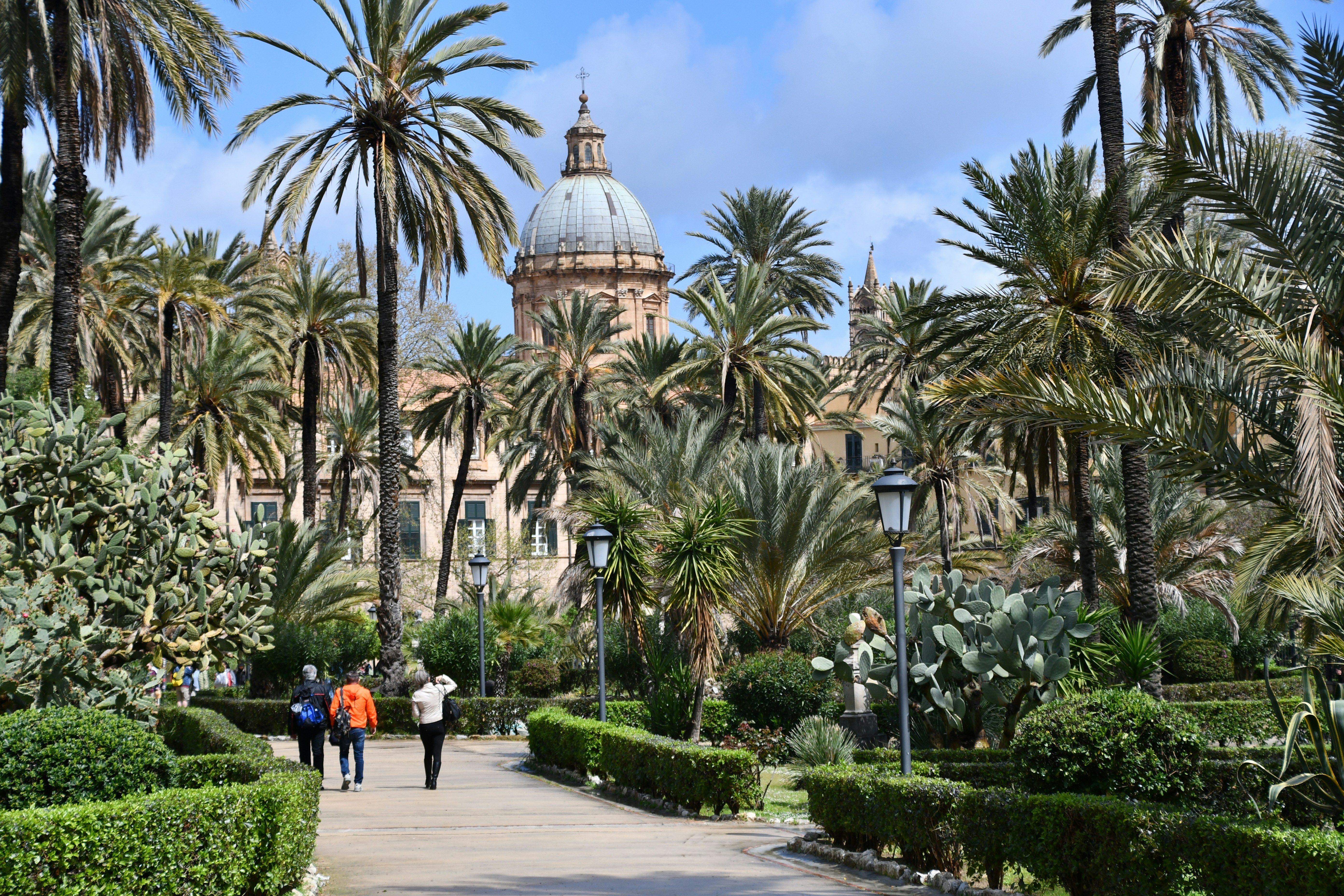 people walking through a park with palm trees