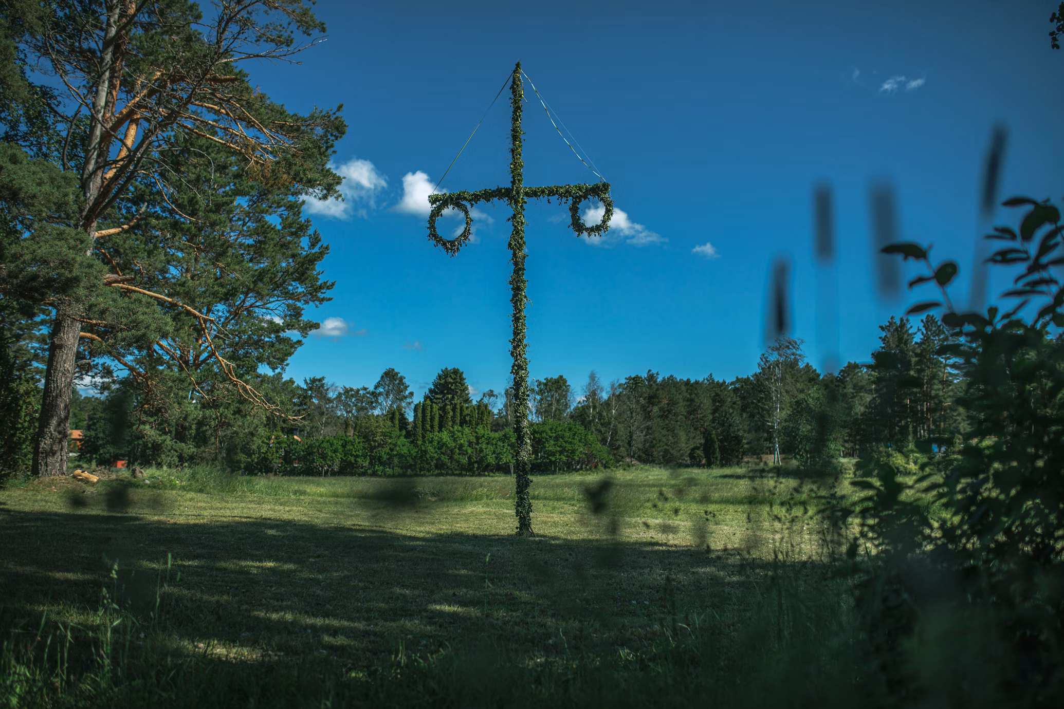 sweden midsommer.avif